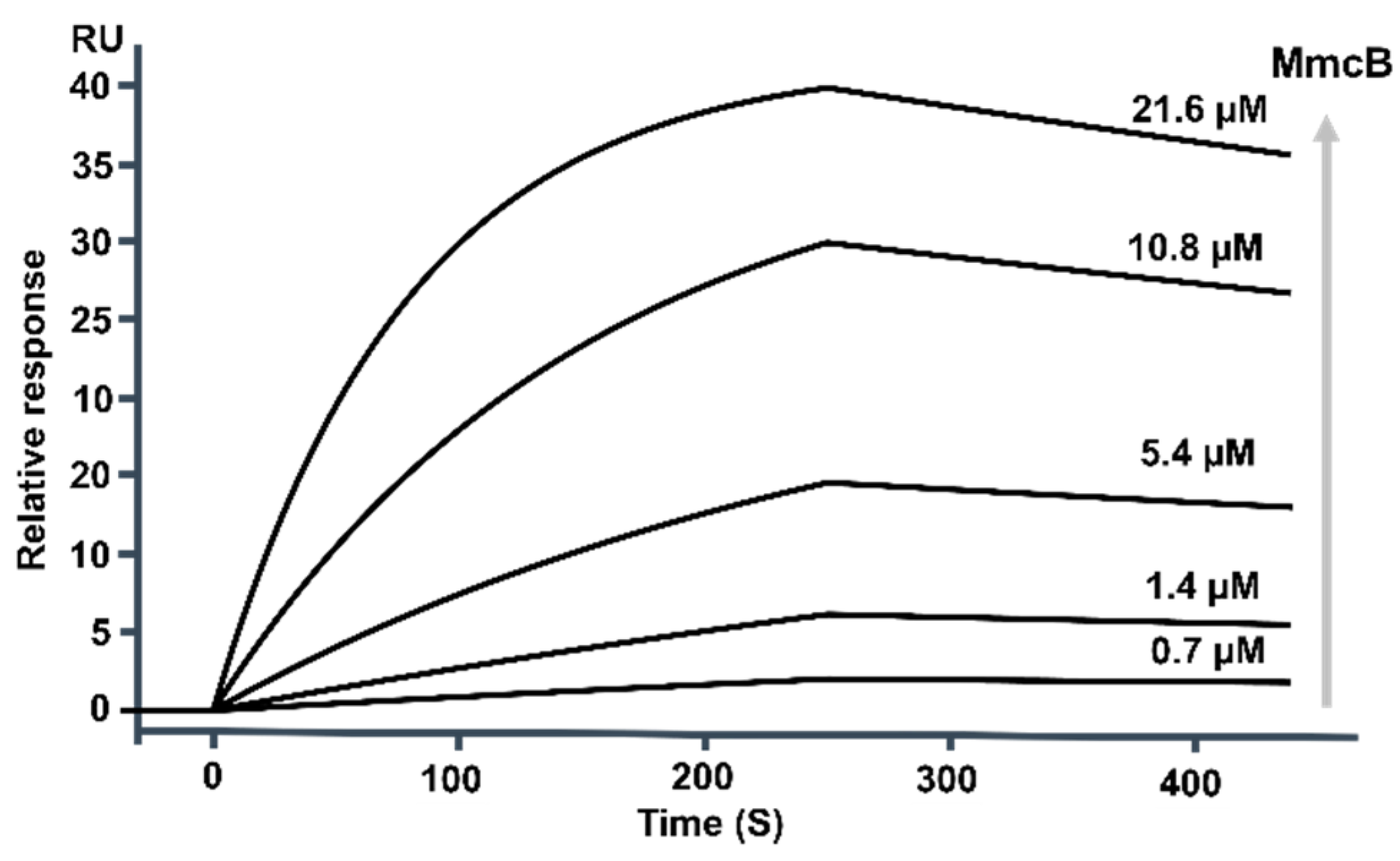 Molecules 26 06791 g006