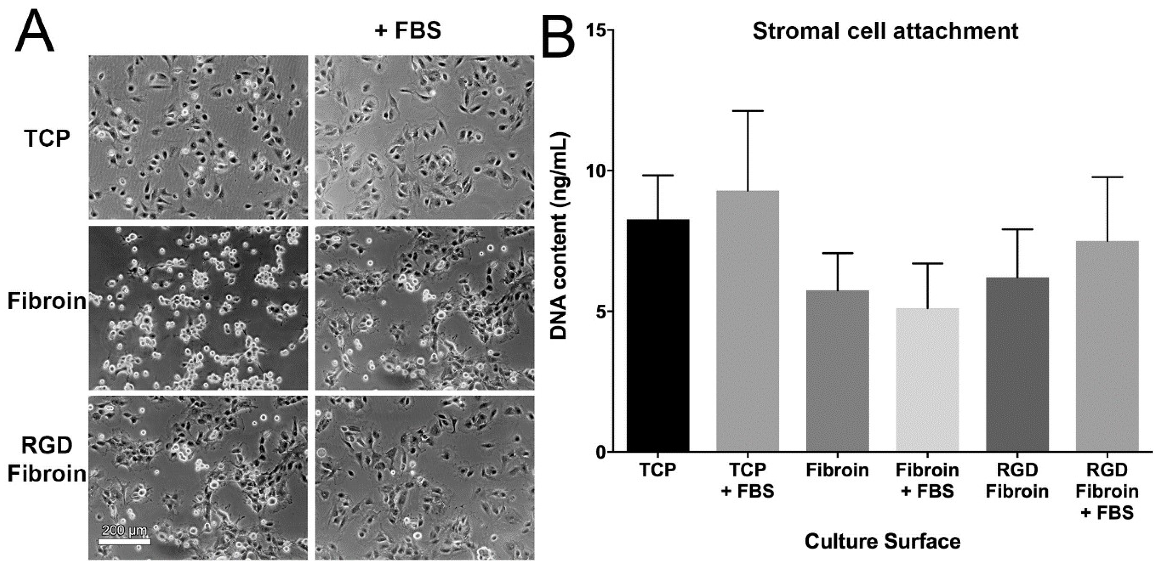 Molecules 26 06810 g001 550