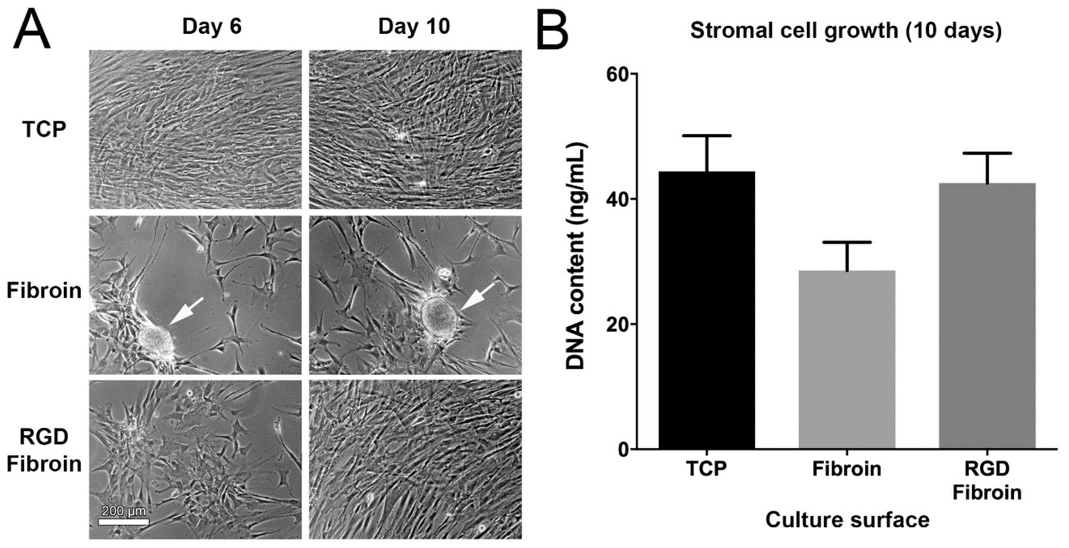 Molecules 26 06810 g003 550