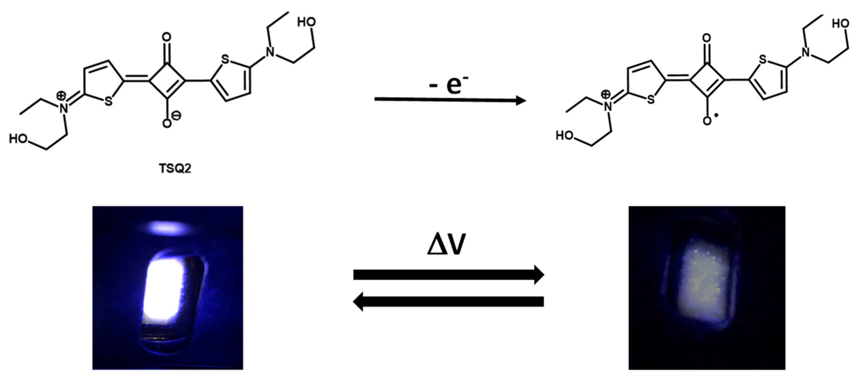 Molecules 26 06818 g003 Molecules 26 06818 g003