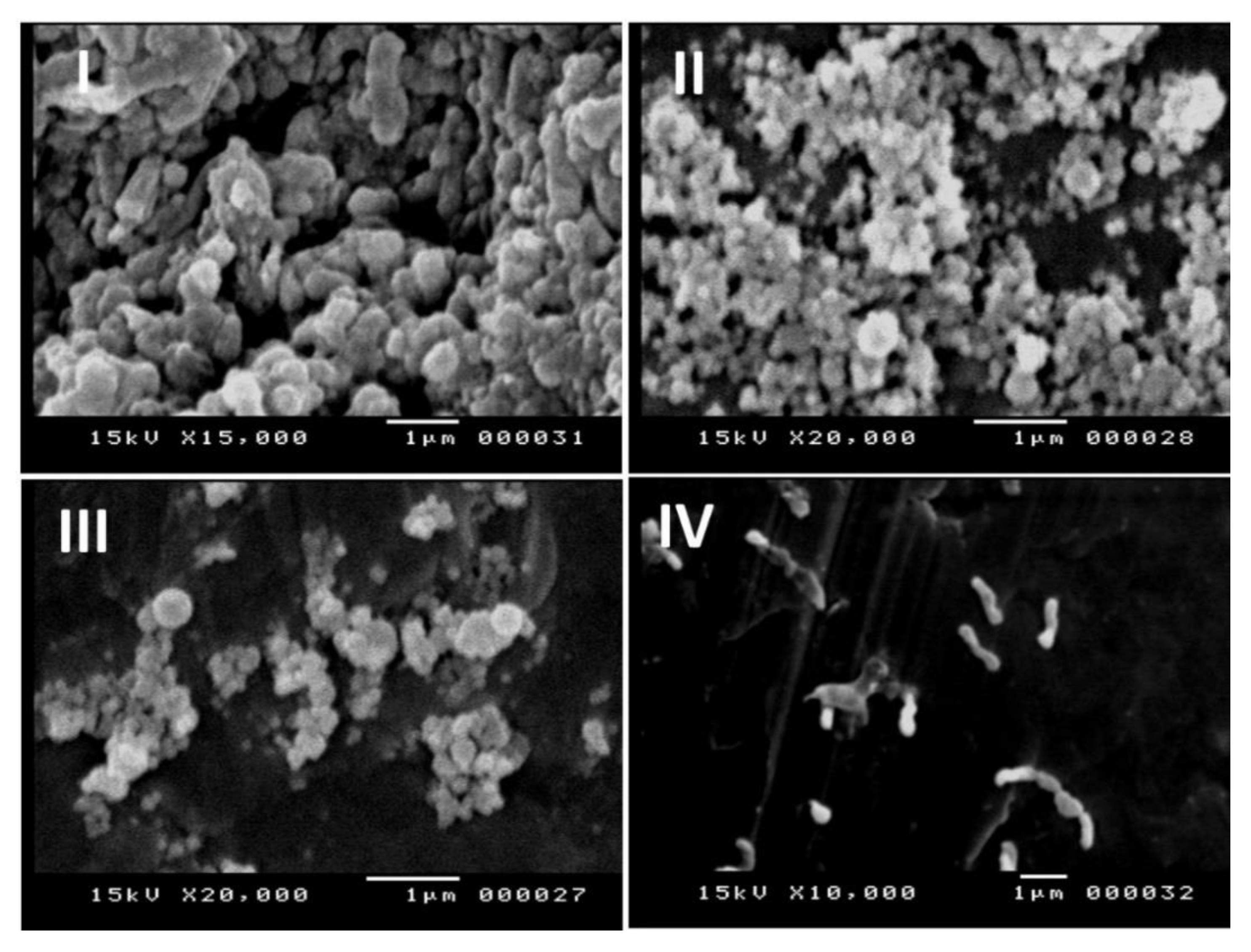 Molecules 26 06832 g006 550