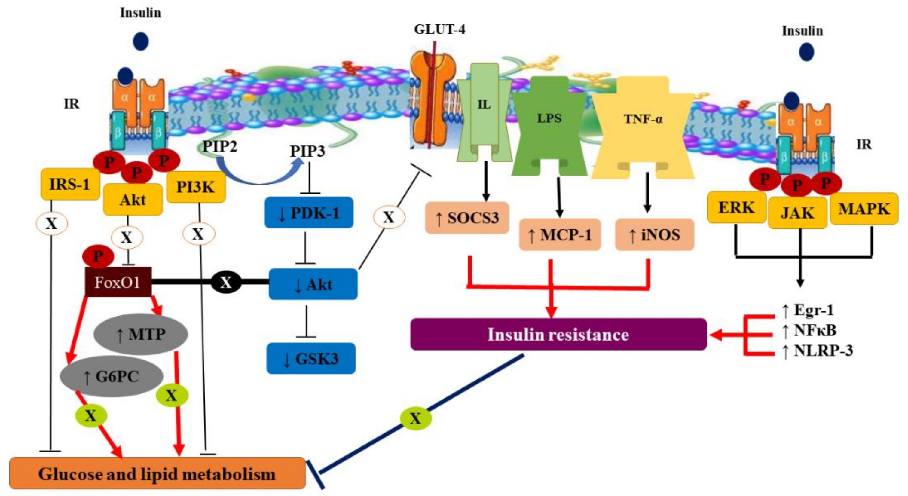 Molecules 26 06836 g001 Molecules 26 06836 g001
