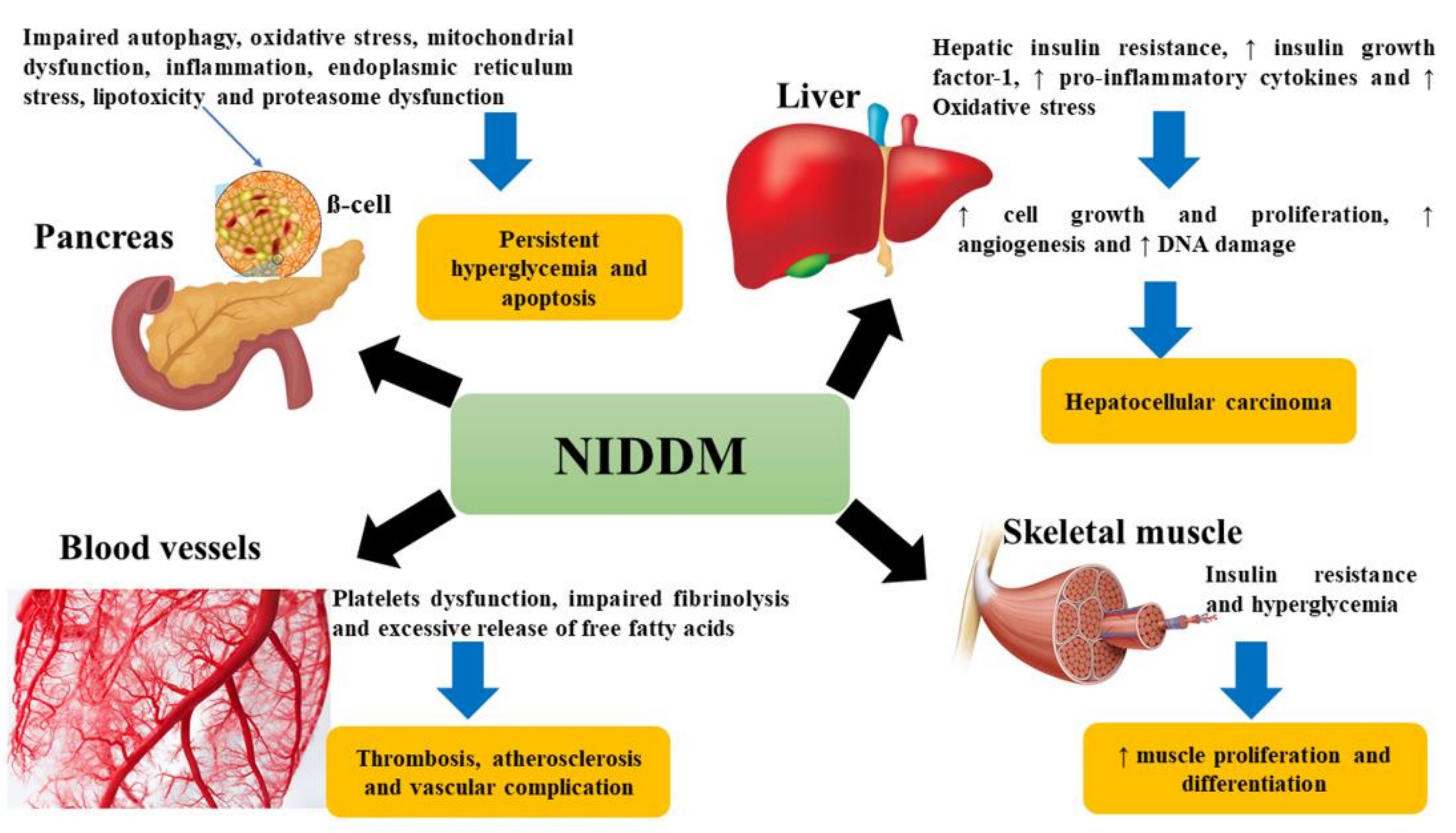 Molecules 26 06836 g002 Molecules 26 06836 g002