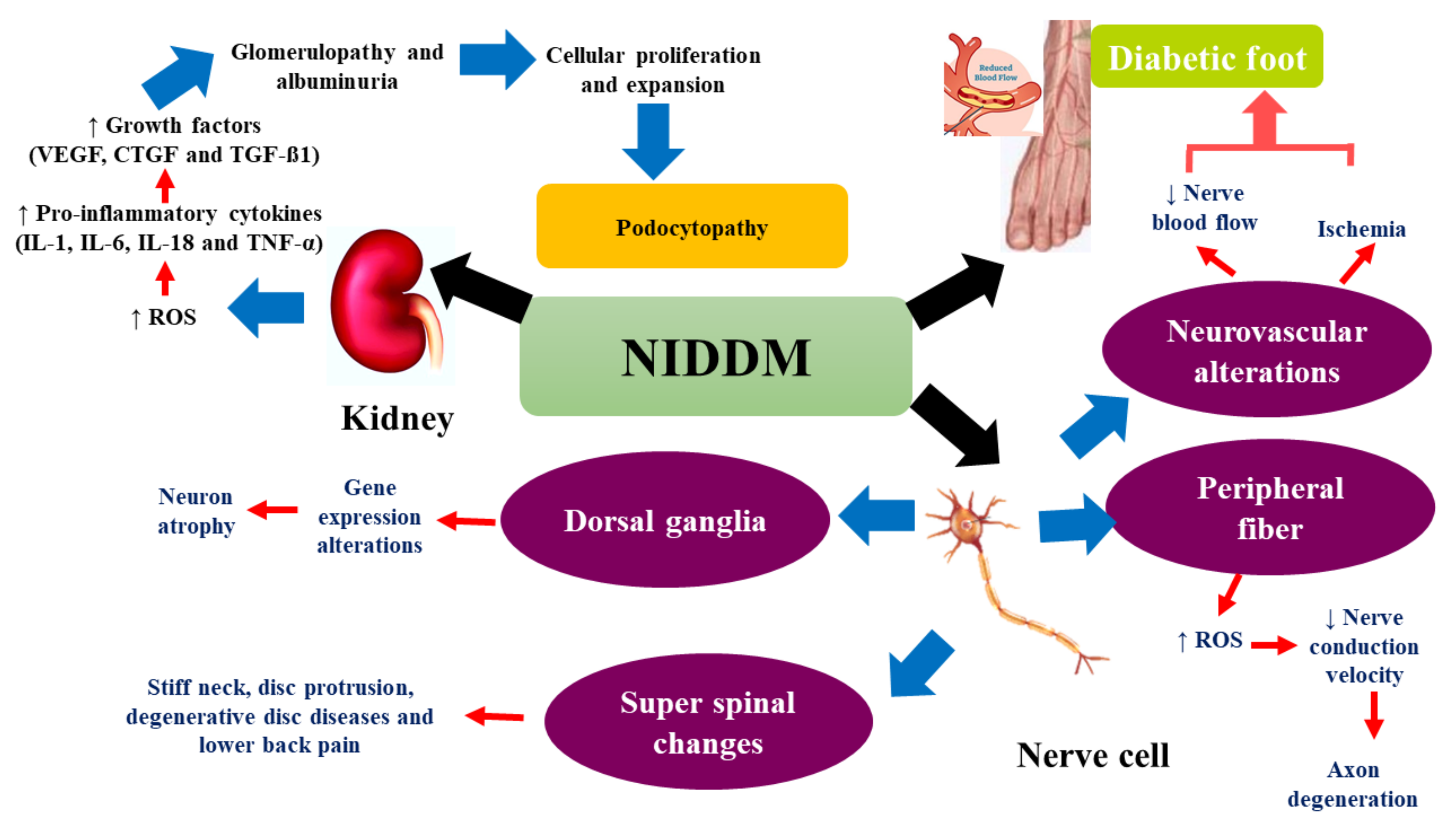 Molecules 26 06836 g003 Molecules 26 06836 g003