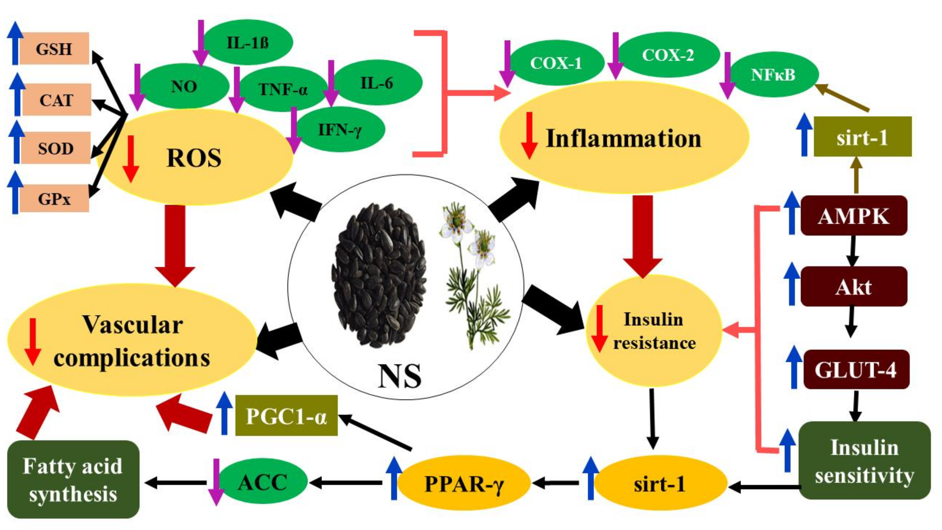 Molecules 26 06836 g005 Molecules 26 06836 g005