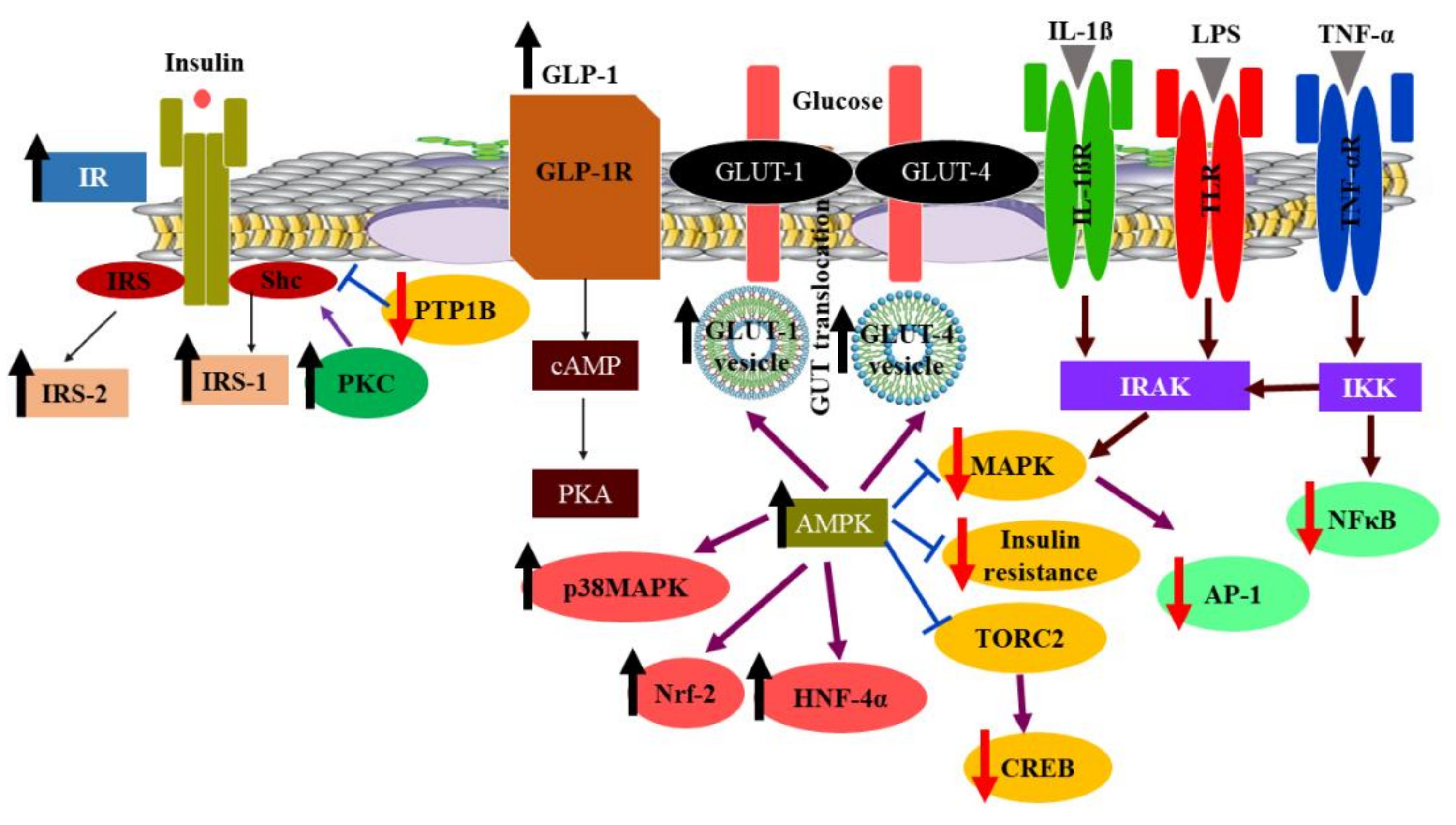 Molecules 26 06836 g006 Molecules 26 06836 g006