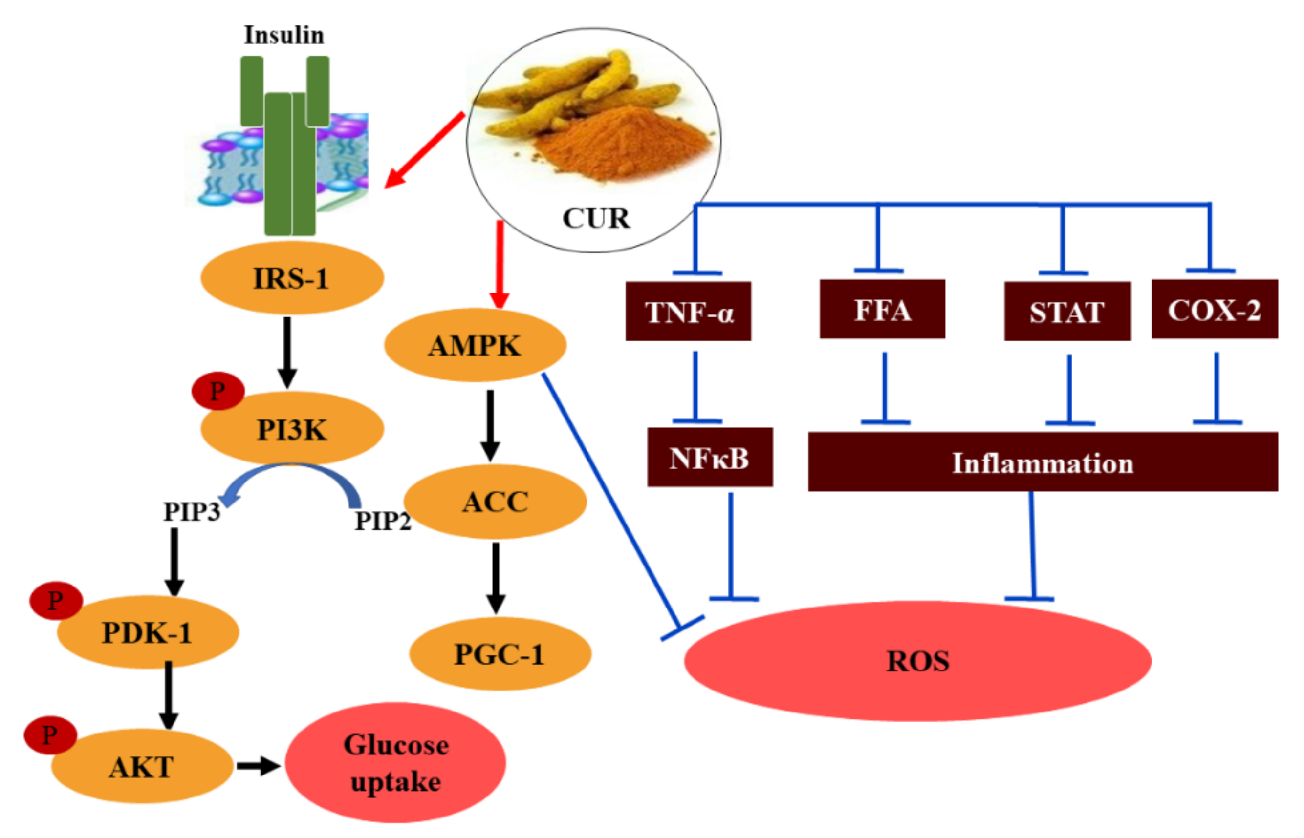 Molecules 26 06836 g007 Molecules 26 06836 g007