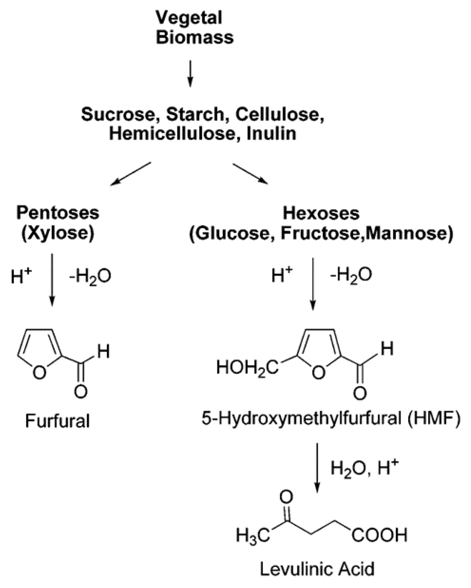 Molecules 26 06848 g003 550