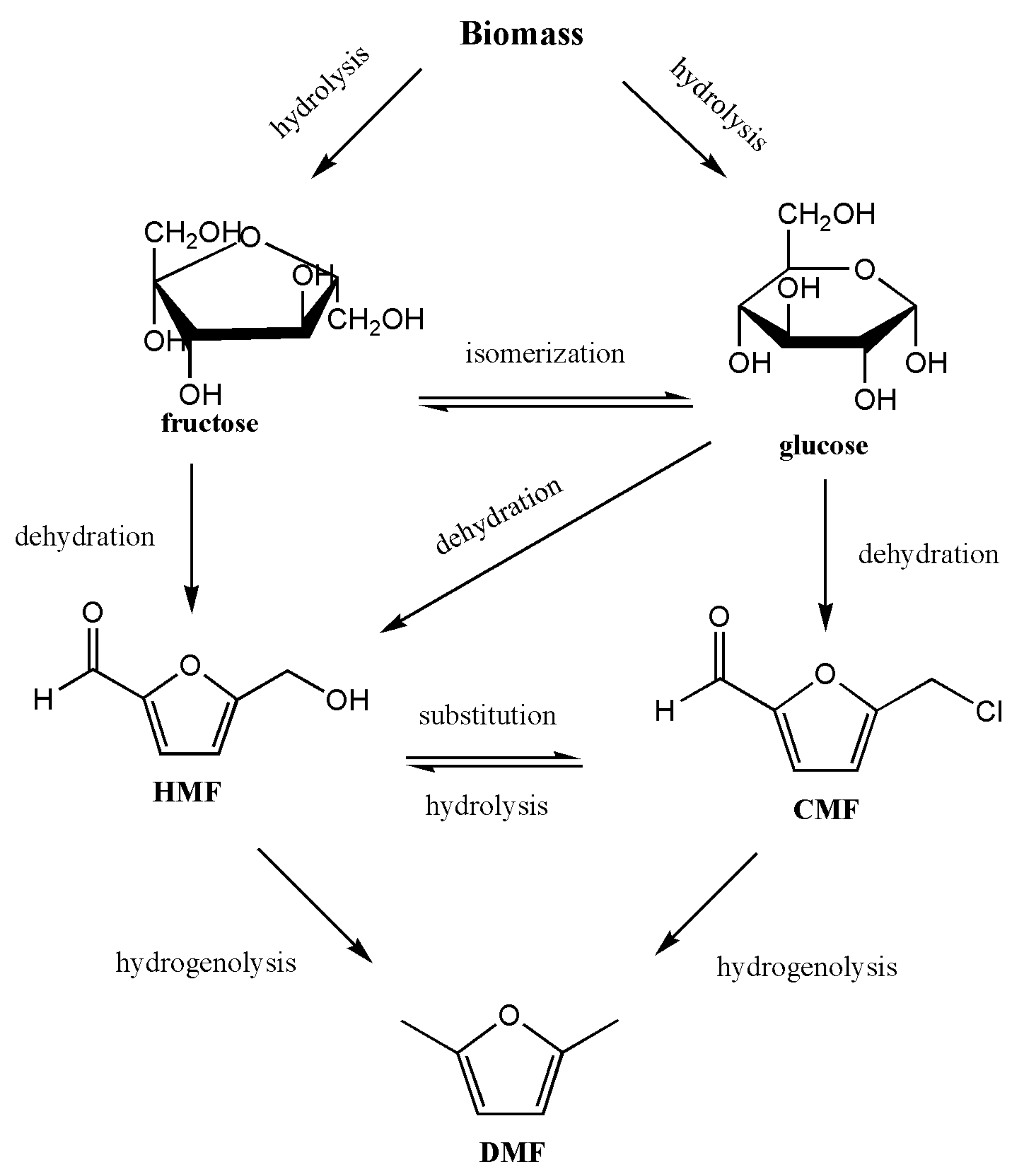 Molecules 26 06848 g006 550