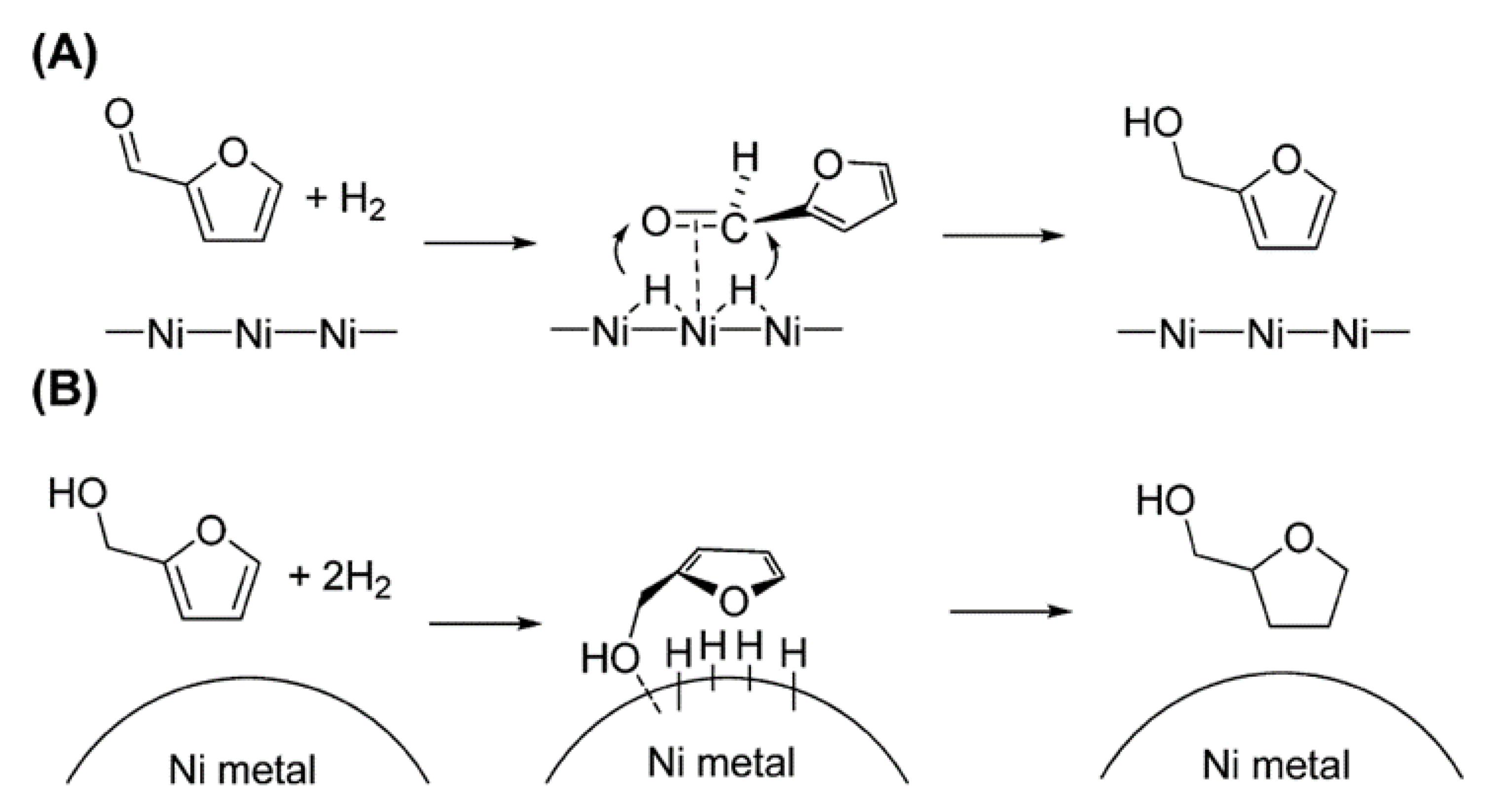 Molecules 26 06848 g007 550