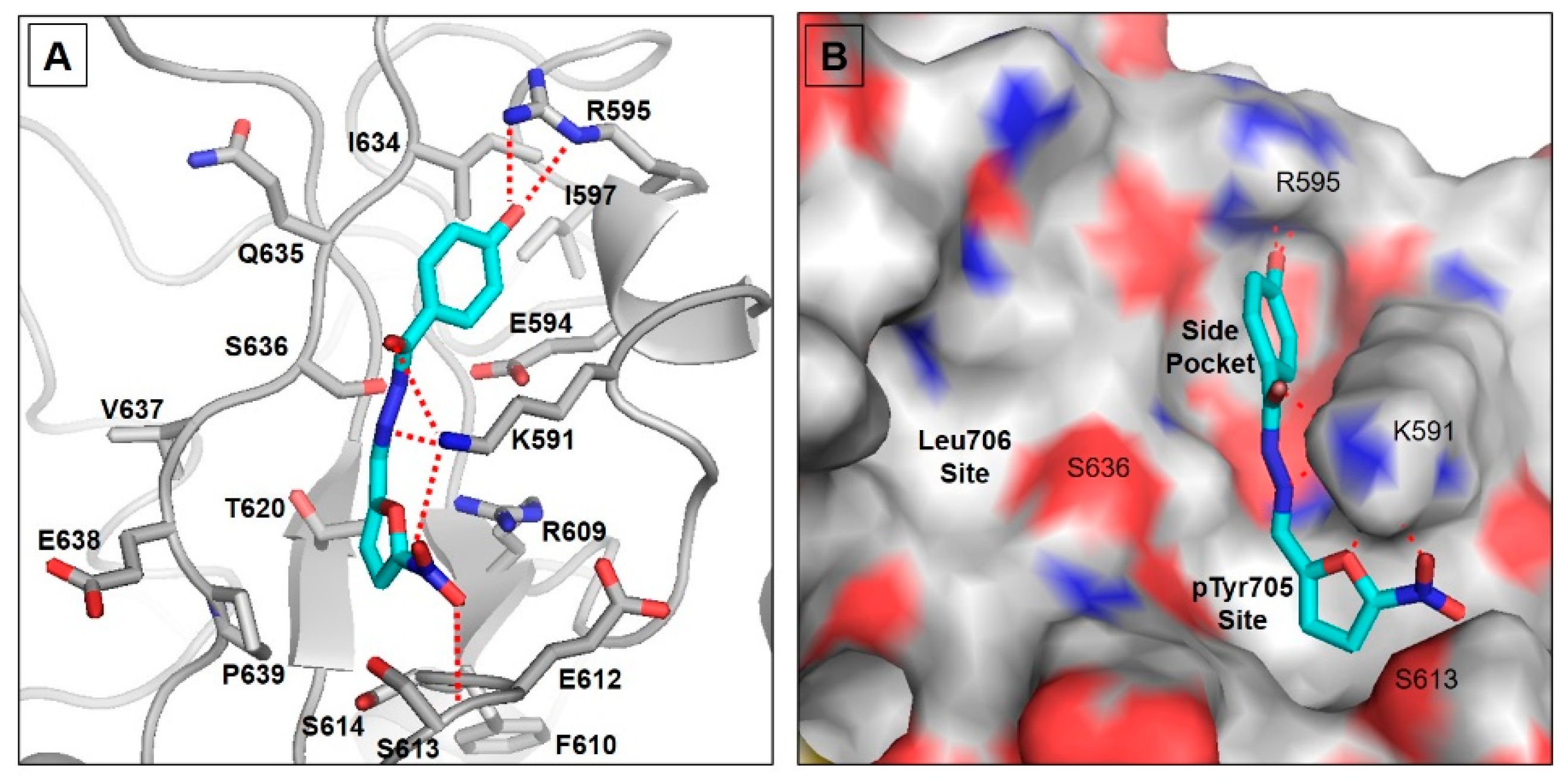 Nifuroxazide Mitigates Angiogenesis in Ehlrich's Solid