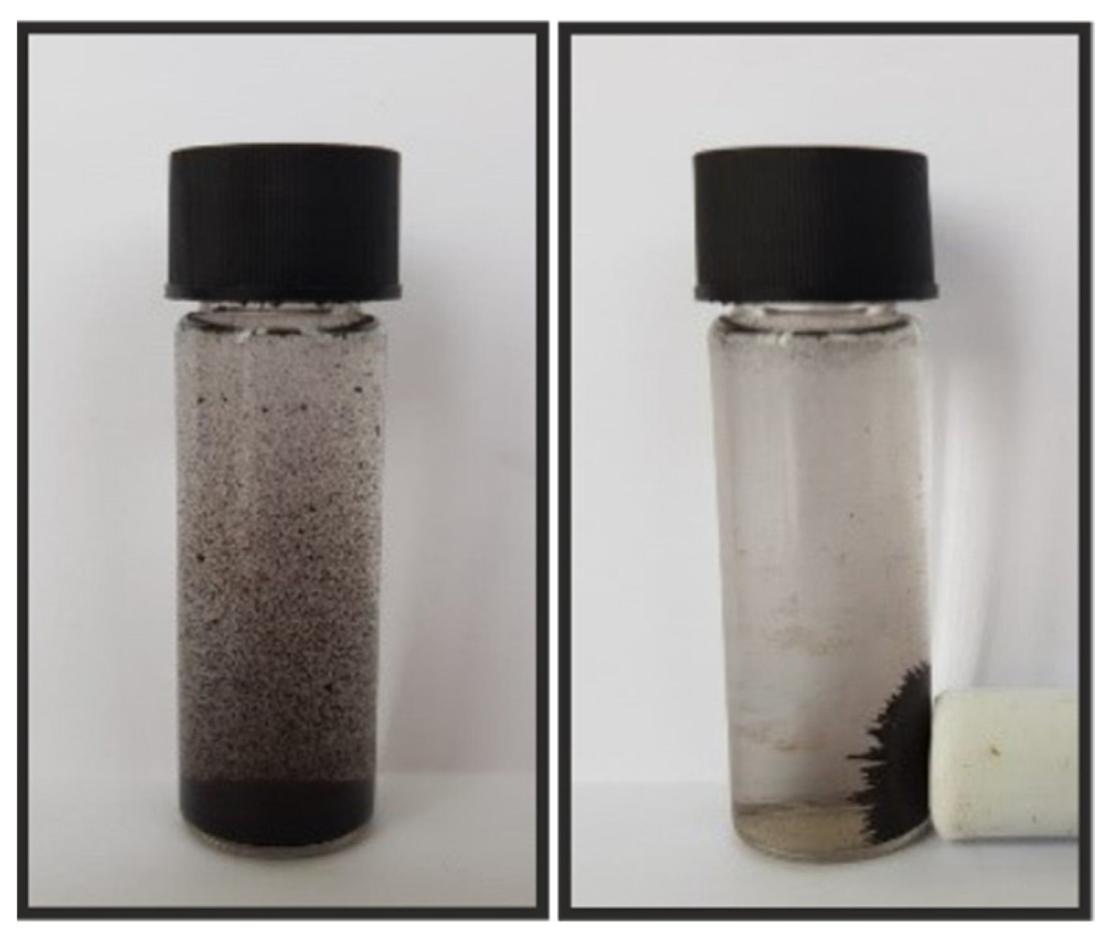 Molecules 26 06859 g007