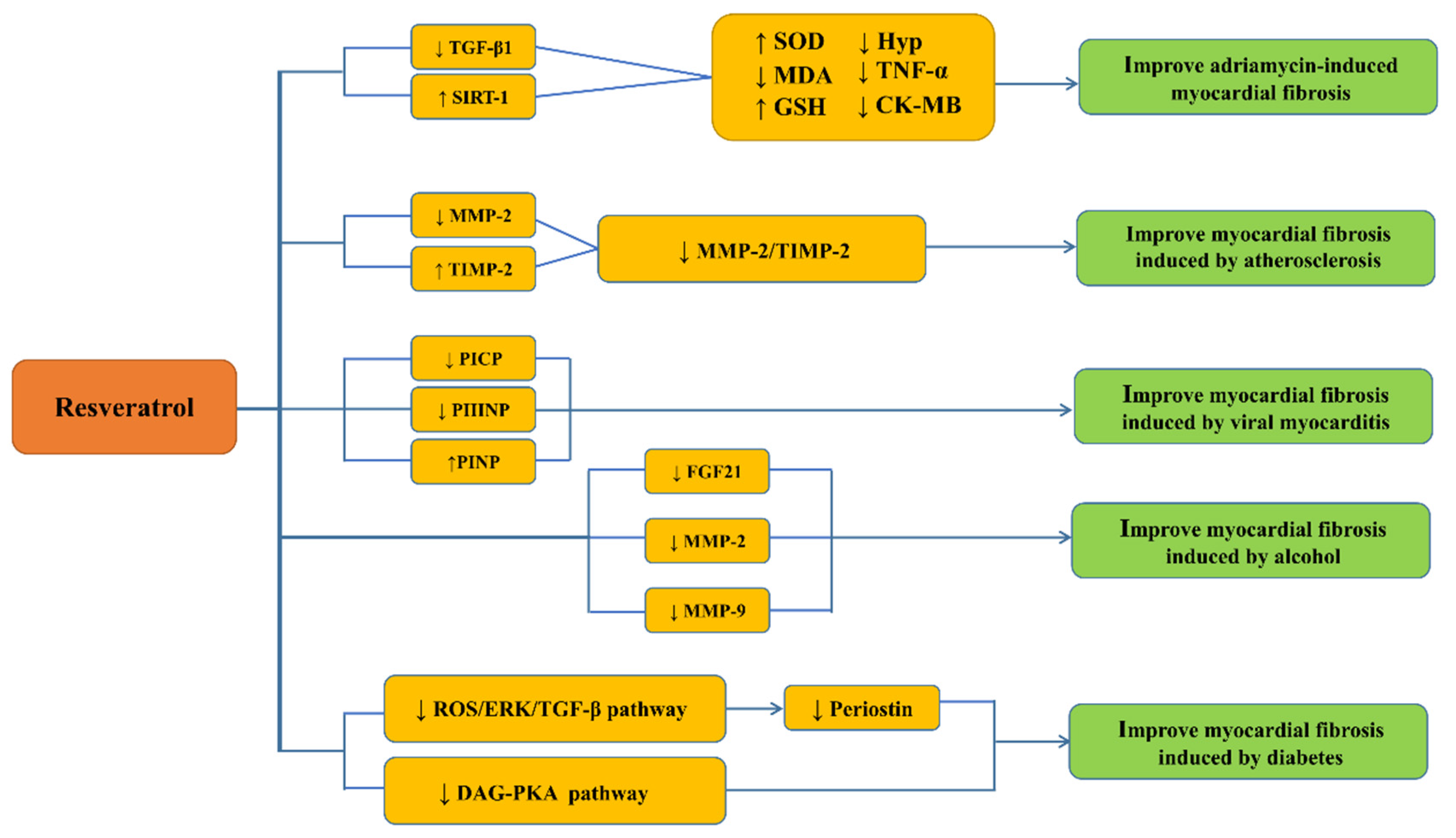 Molecules 26 06860 g001 Molecules 26 06860 g001