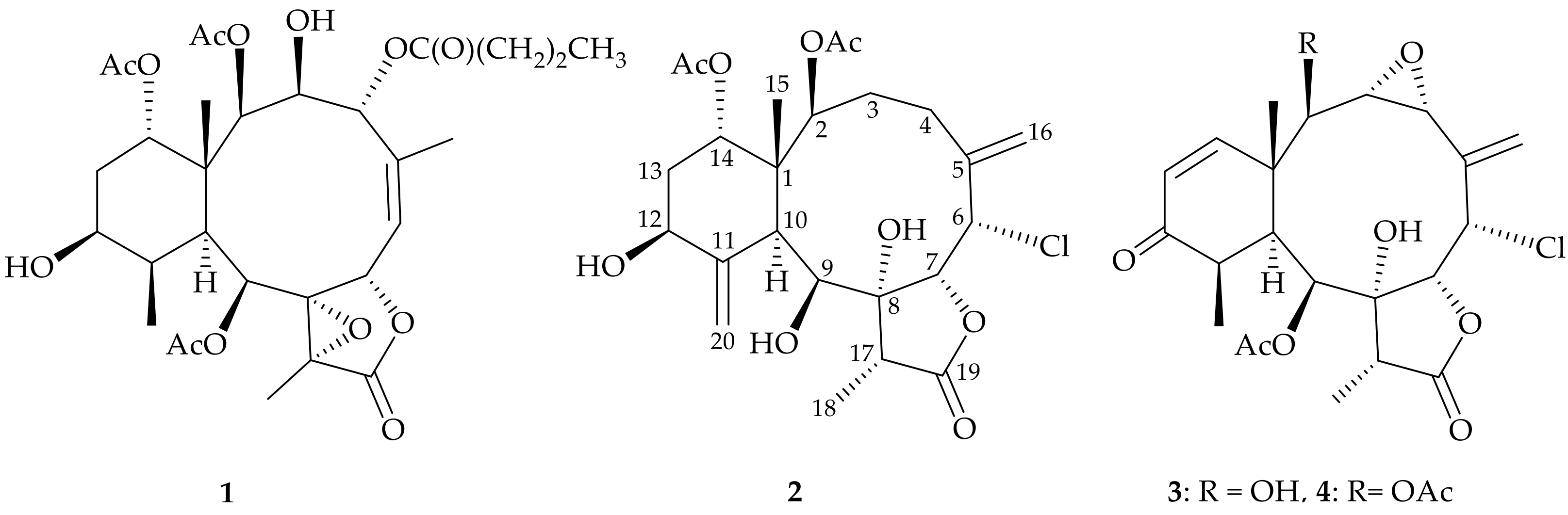 Molecules 26 06861 g001