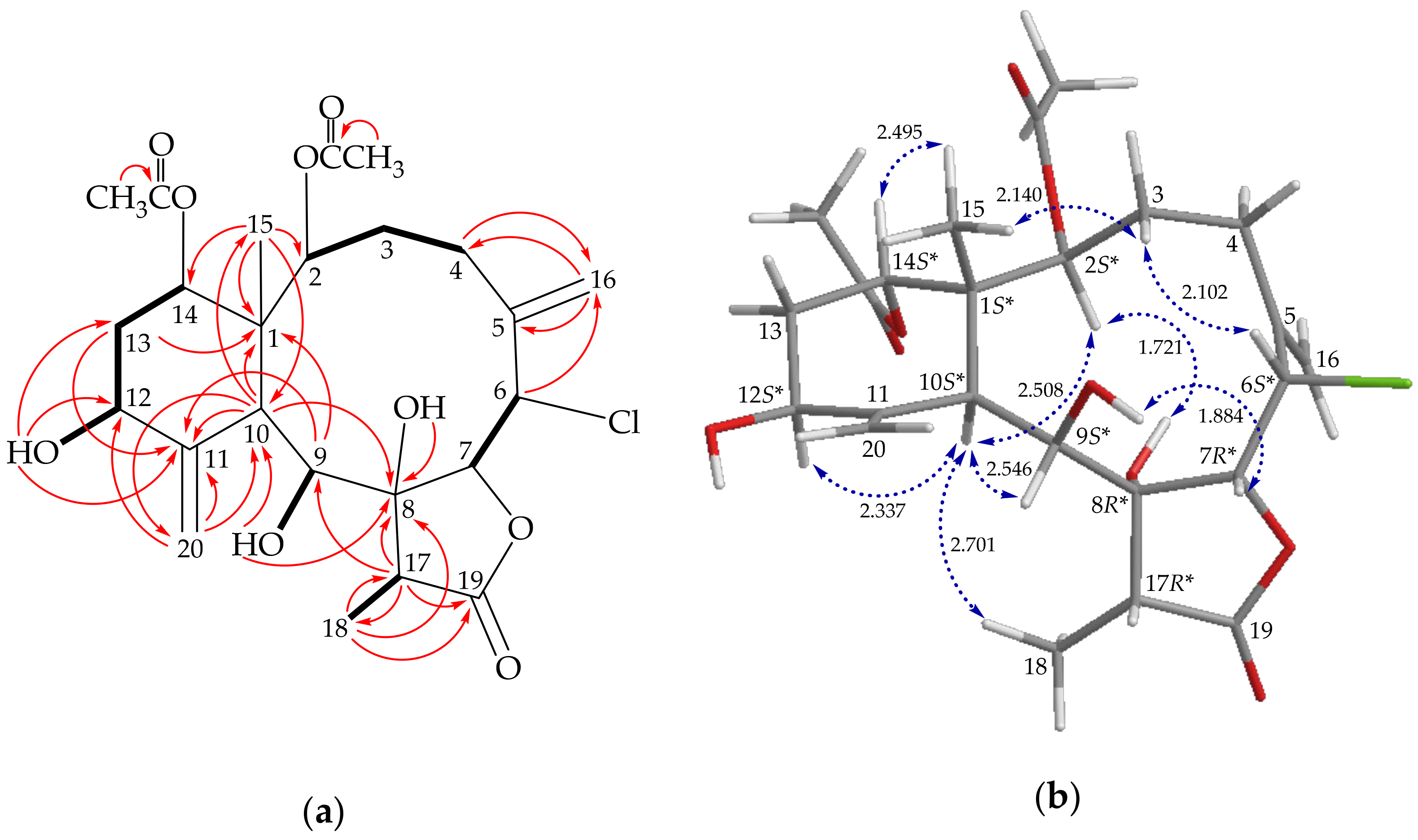 Molecules 26 06861 g002