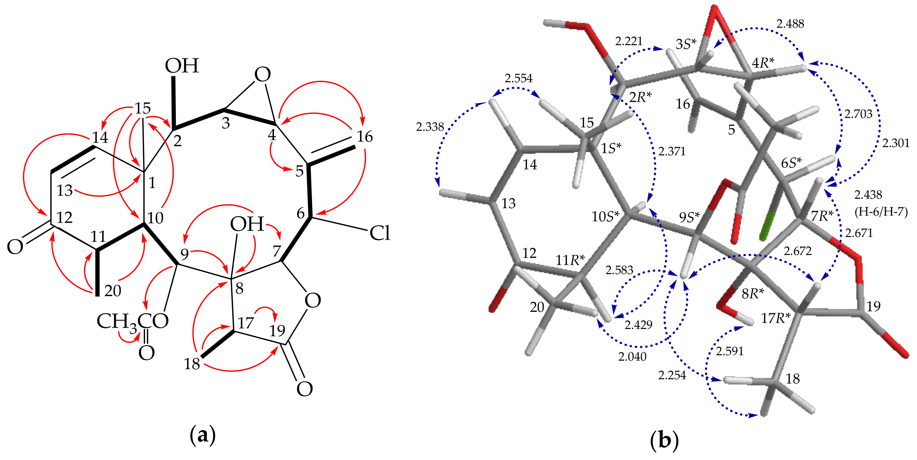 Molecules 26 06861 g003