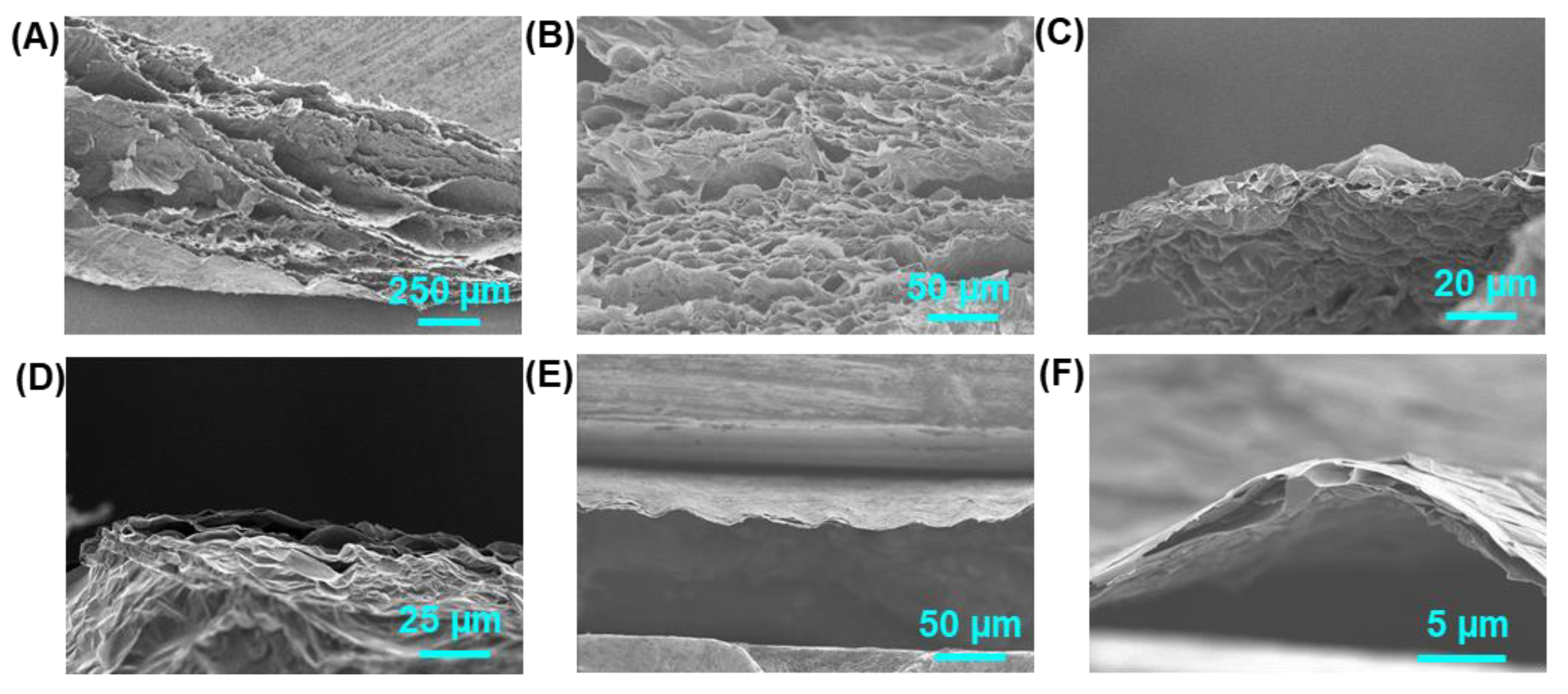 Molecules 26 06867 g003