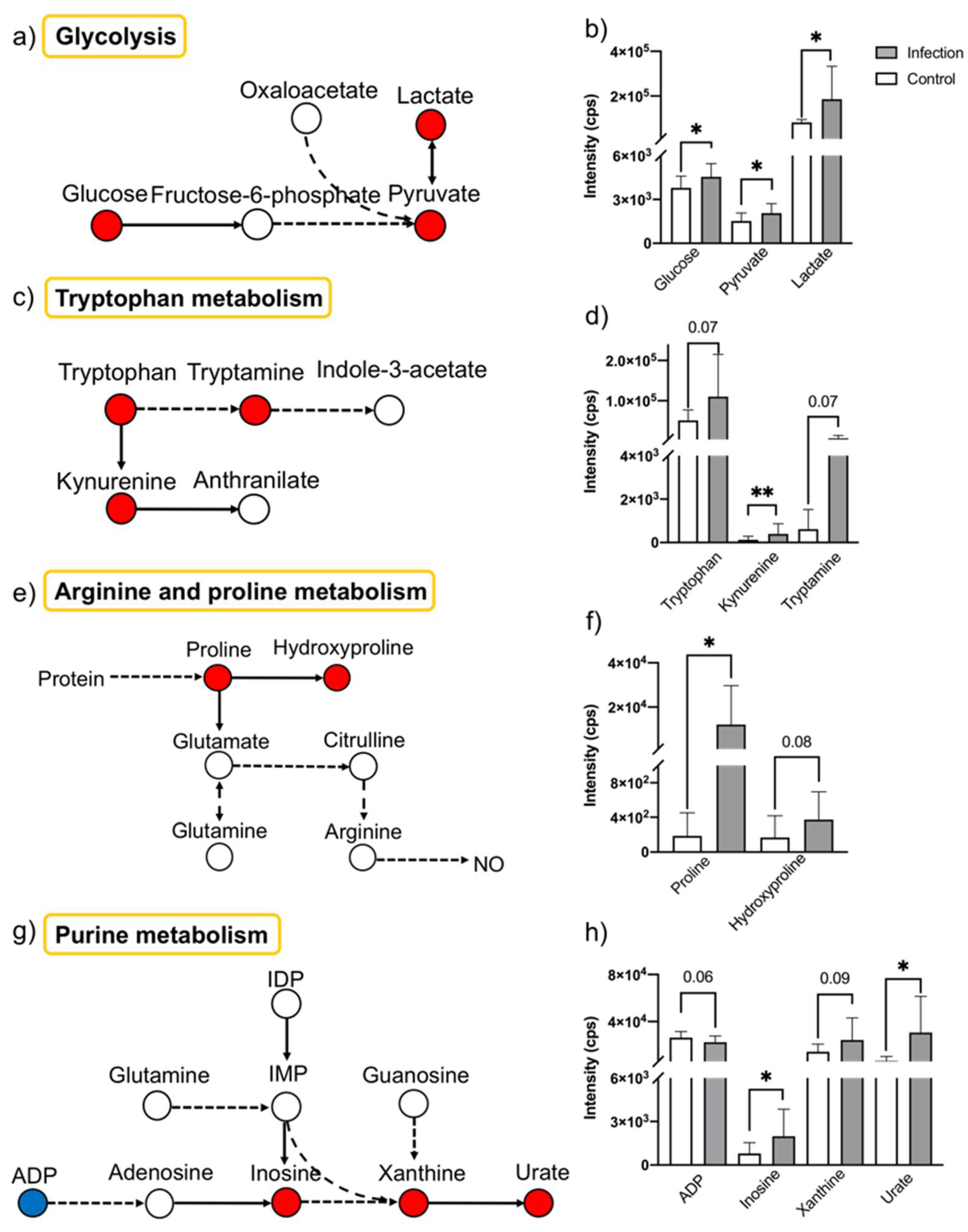 Molecules 26 06871 g004