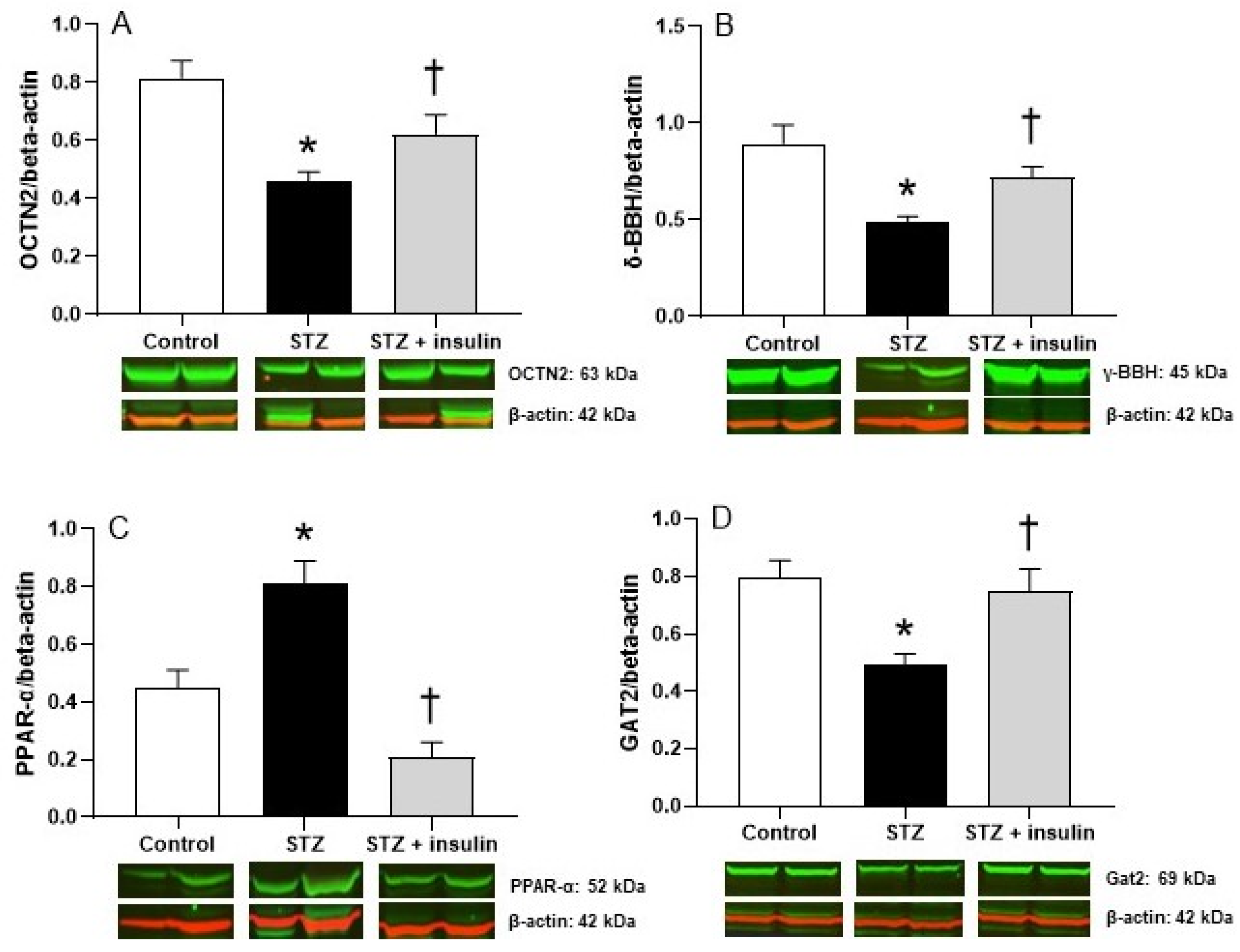 Molecules 26 06872 g002