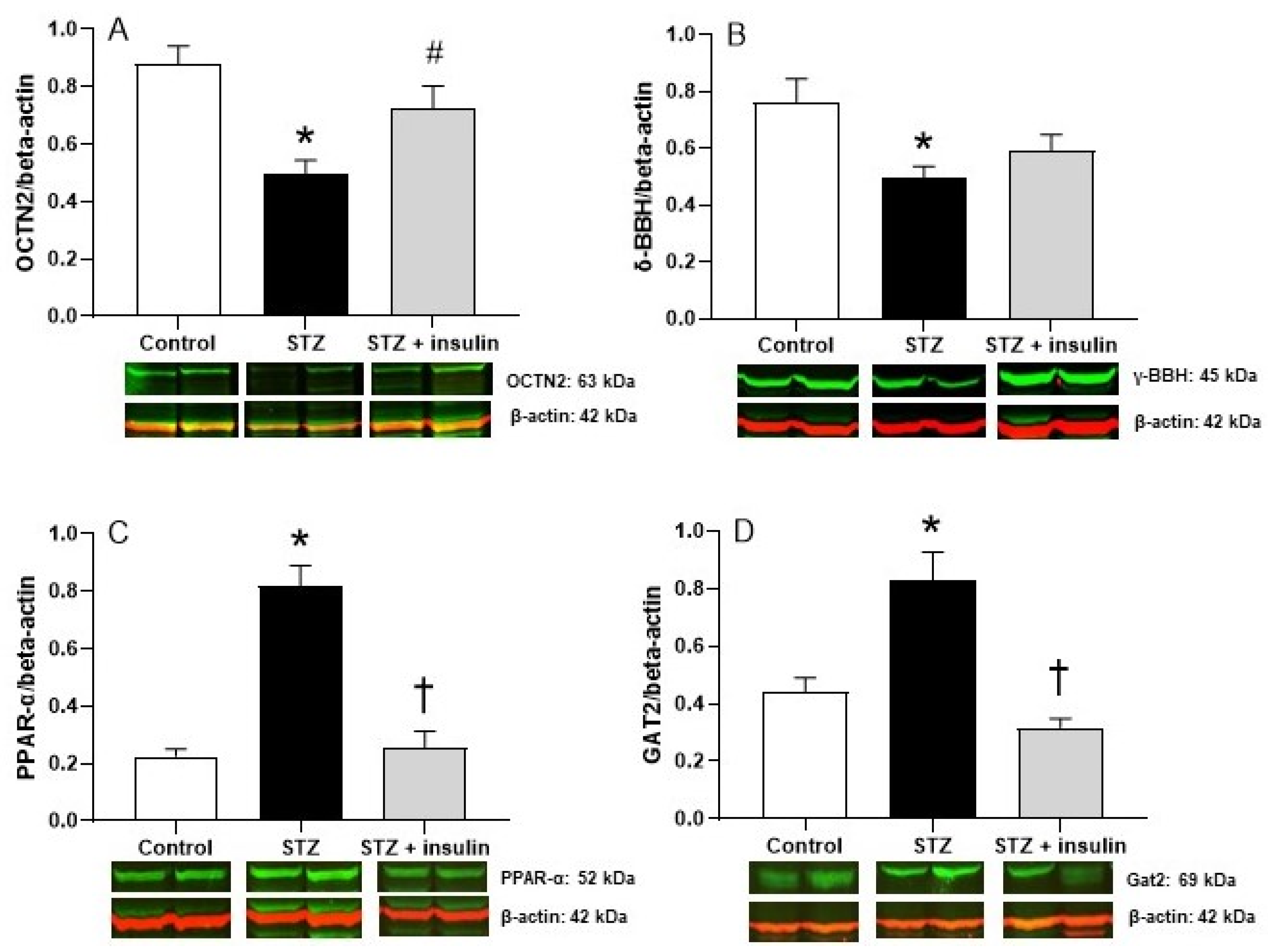 Molecules 26 06872 g003
