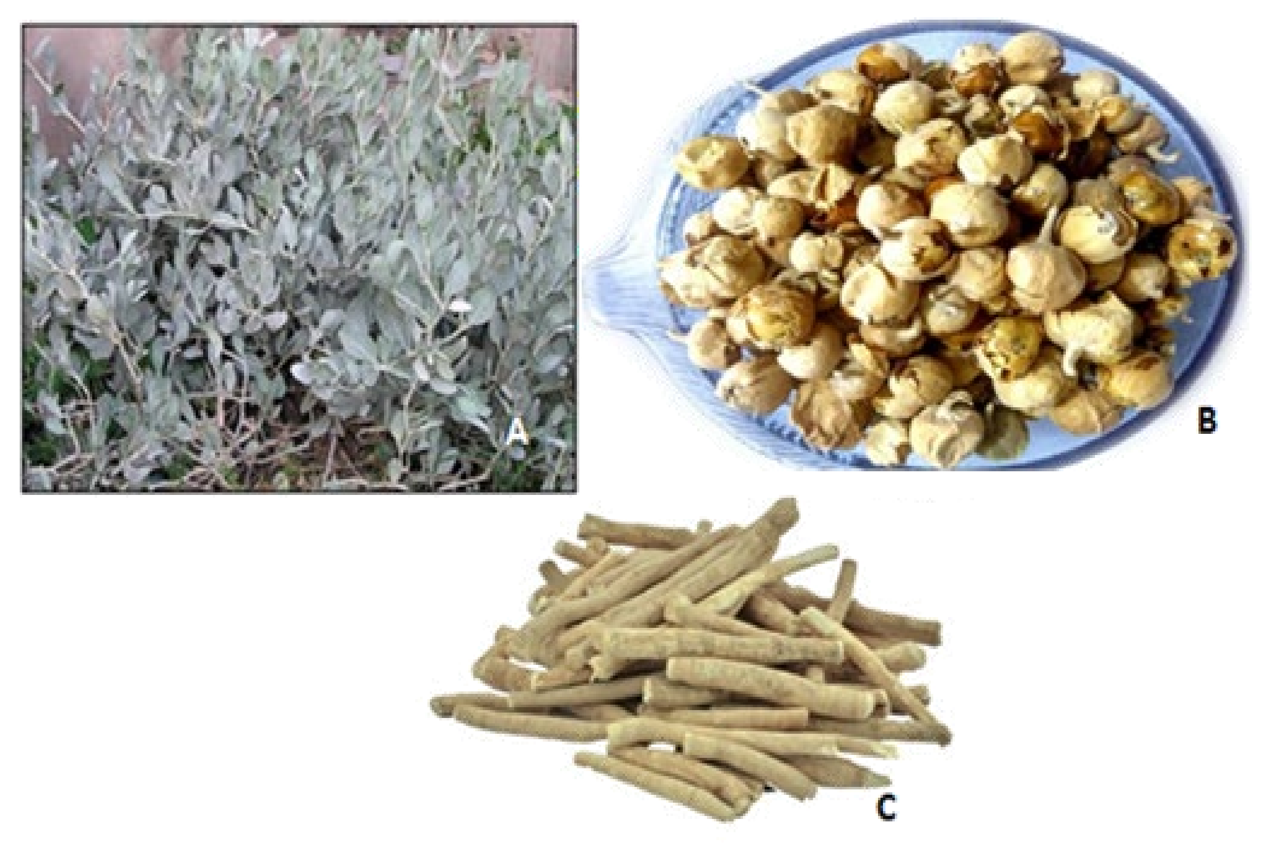 Molecules 26 06881 g001 Molecules 26 06881 g001