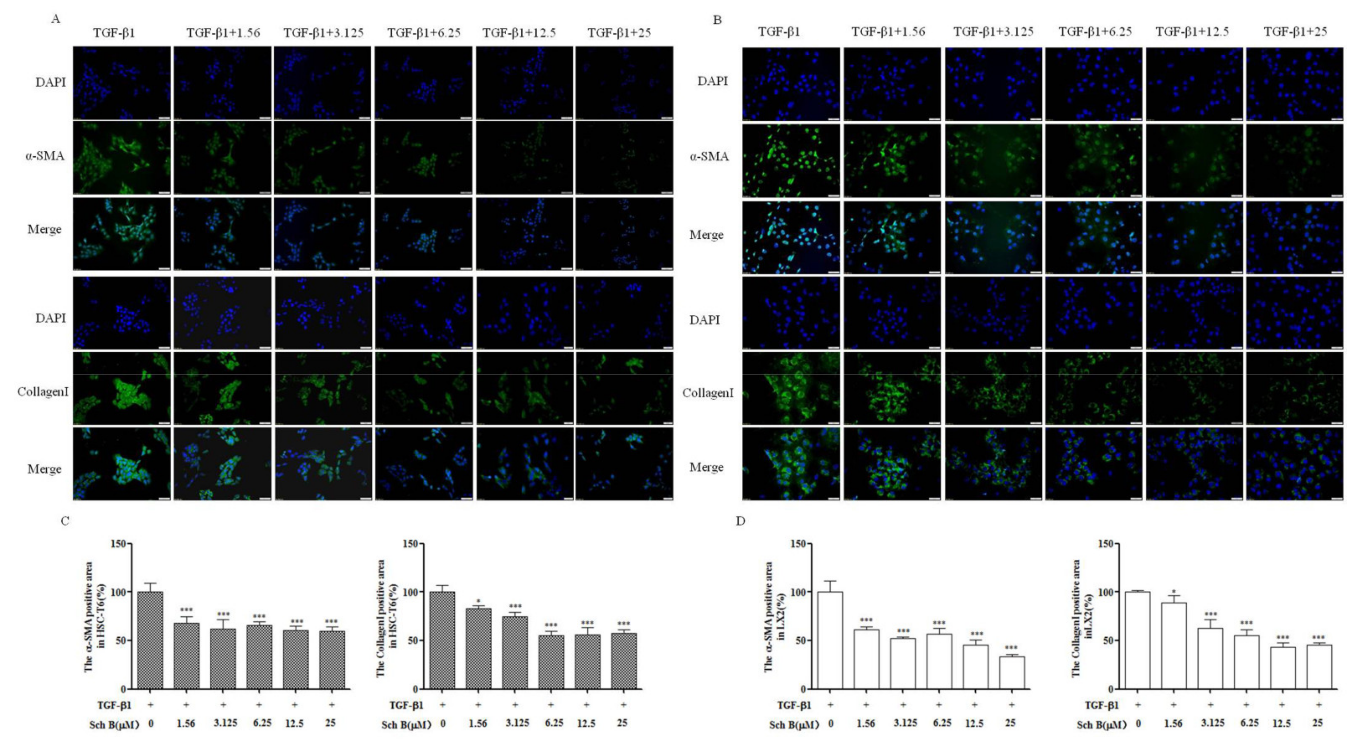 Molecules 26 06882 g003