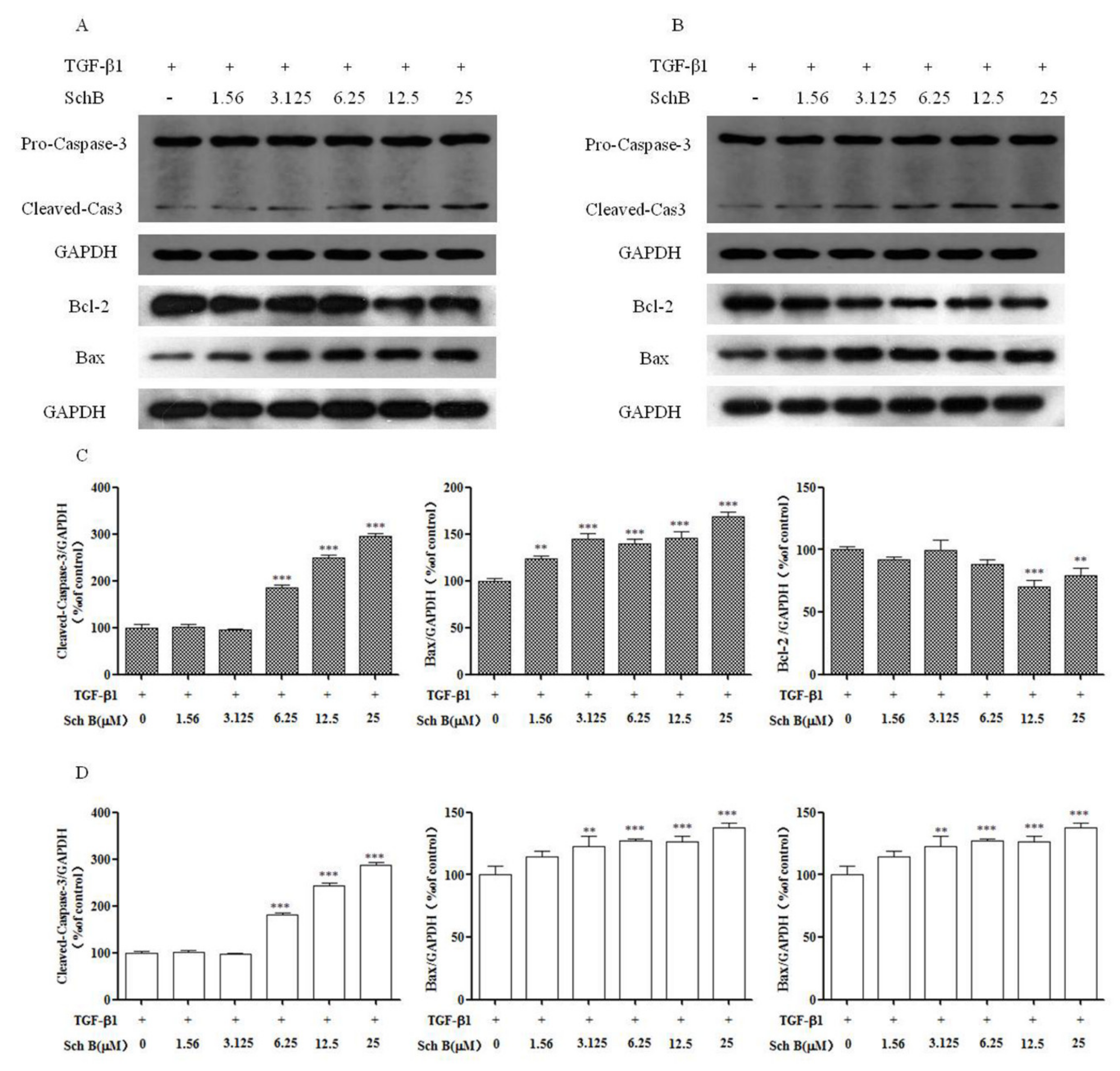 Molecules 26 06882 g005