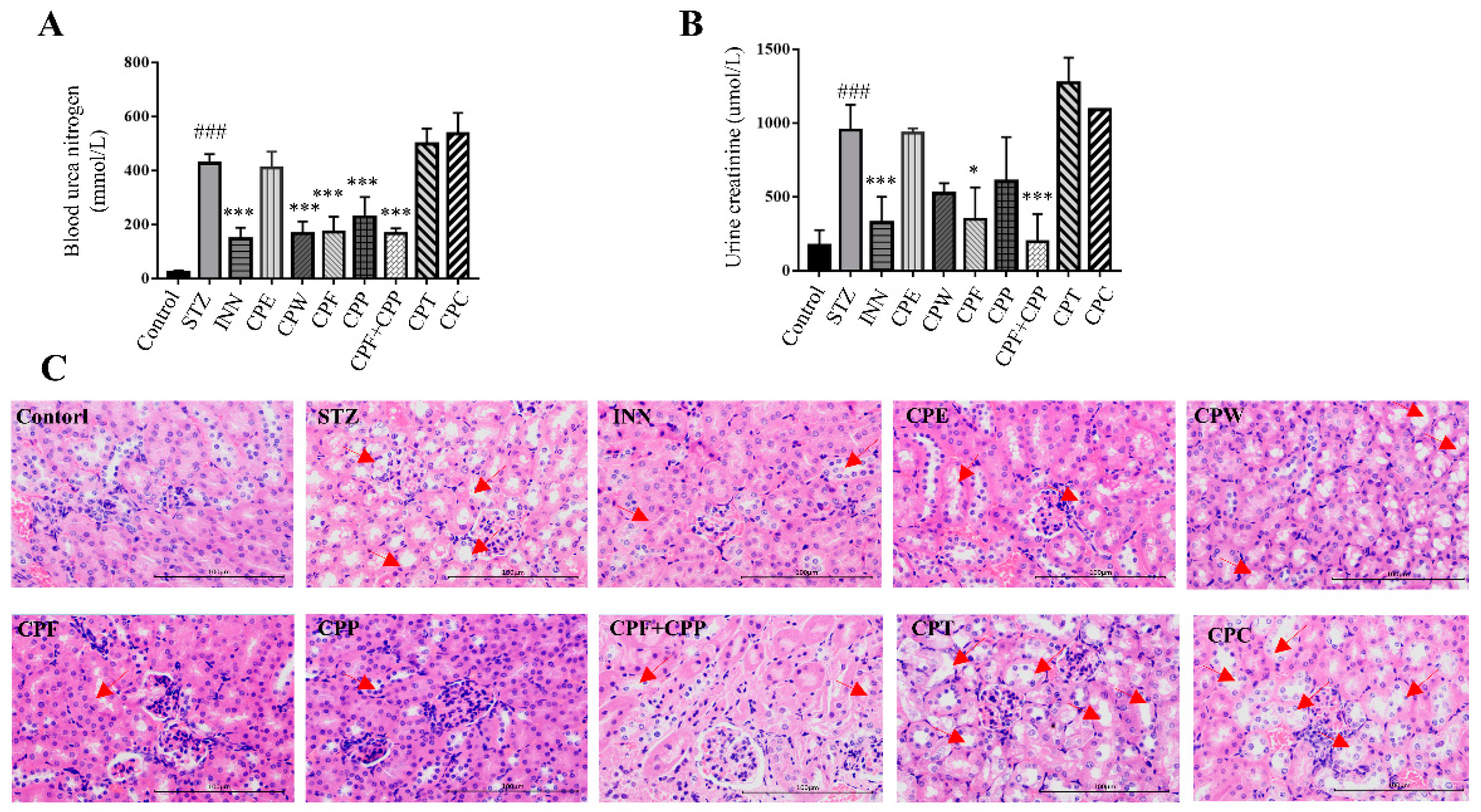 Molecules 26 06886 g005