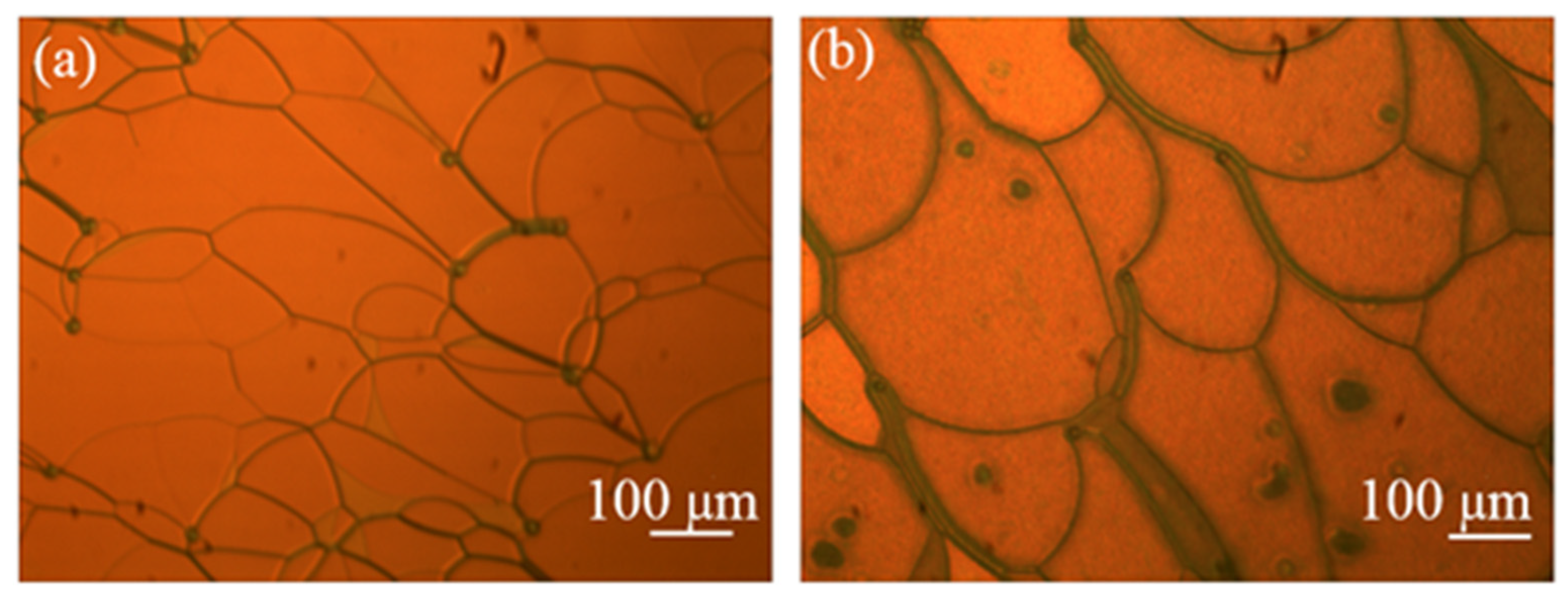Molecules 26 06889 g002 550