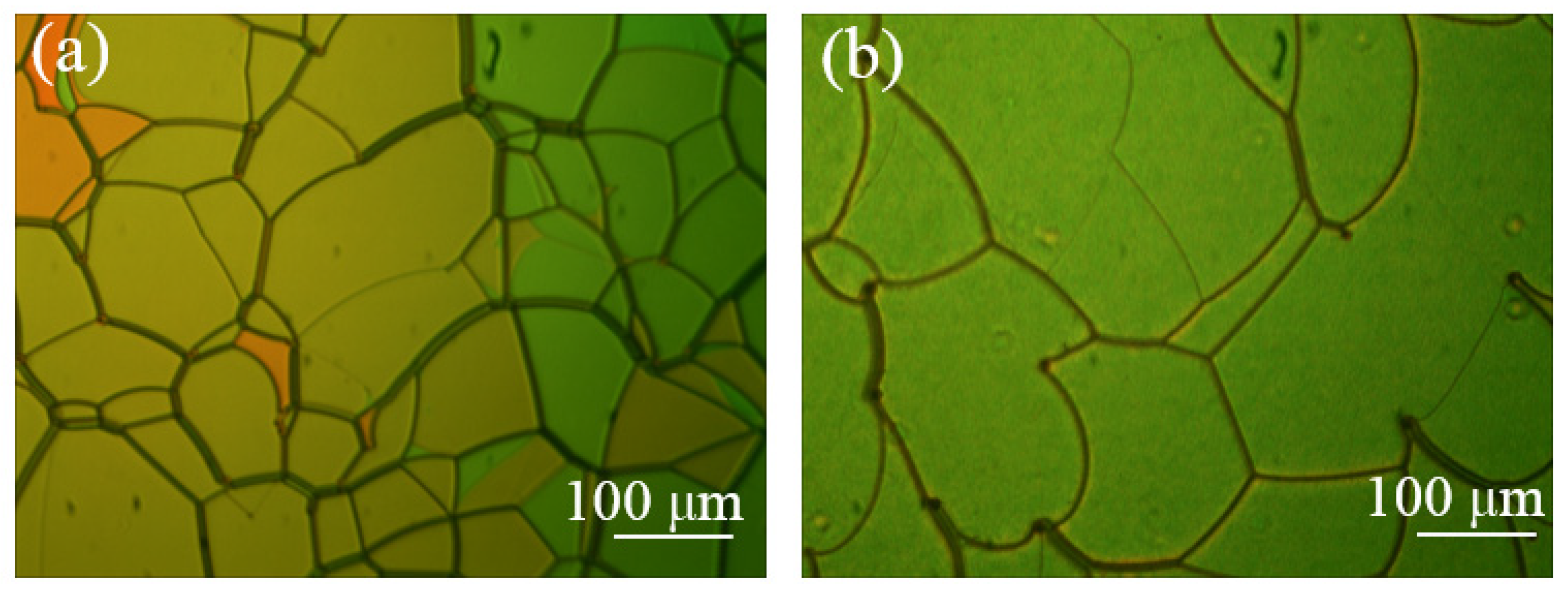 Molecules 26 06889 g003 550