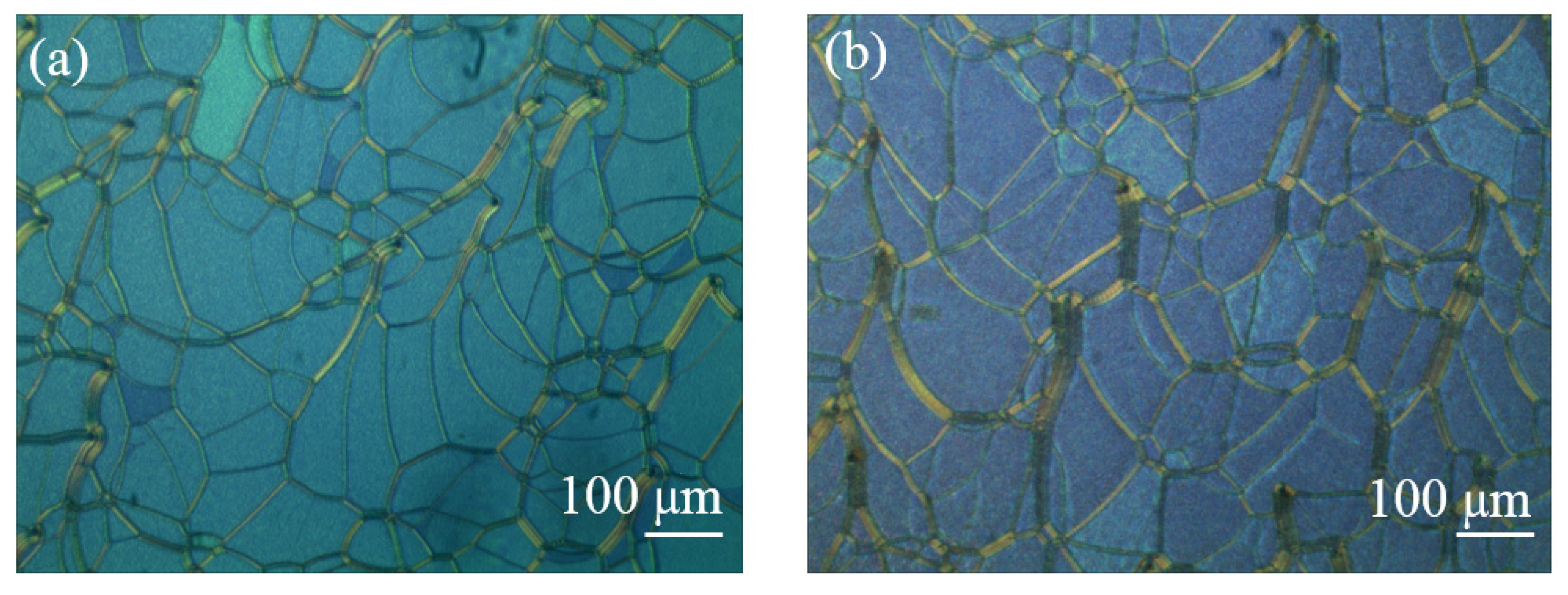 Molecules 26 06889 g004 550