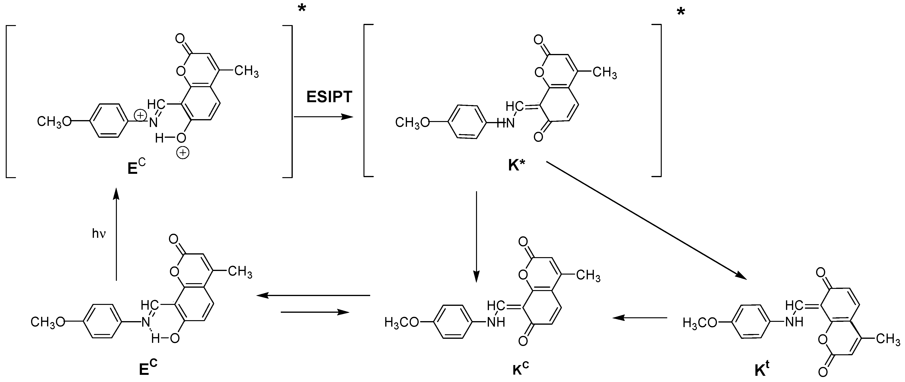 Molecules 26 06894 sch006 Molecules 26 06894 sch006