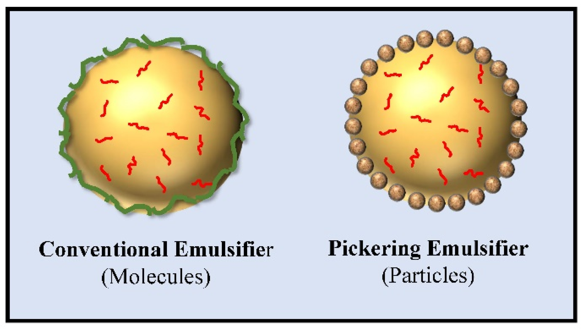 Molecules 26 06895 g001