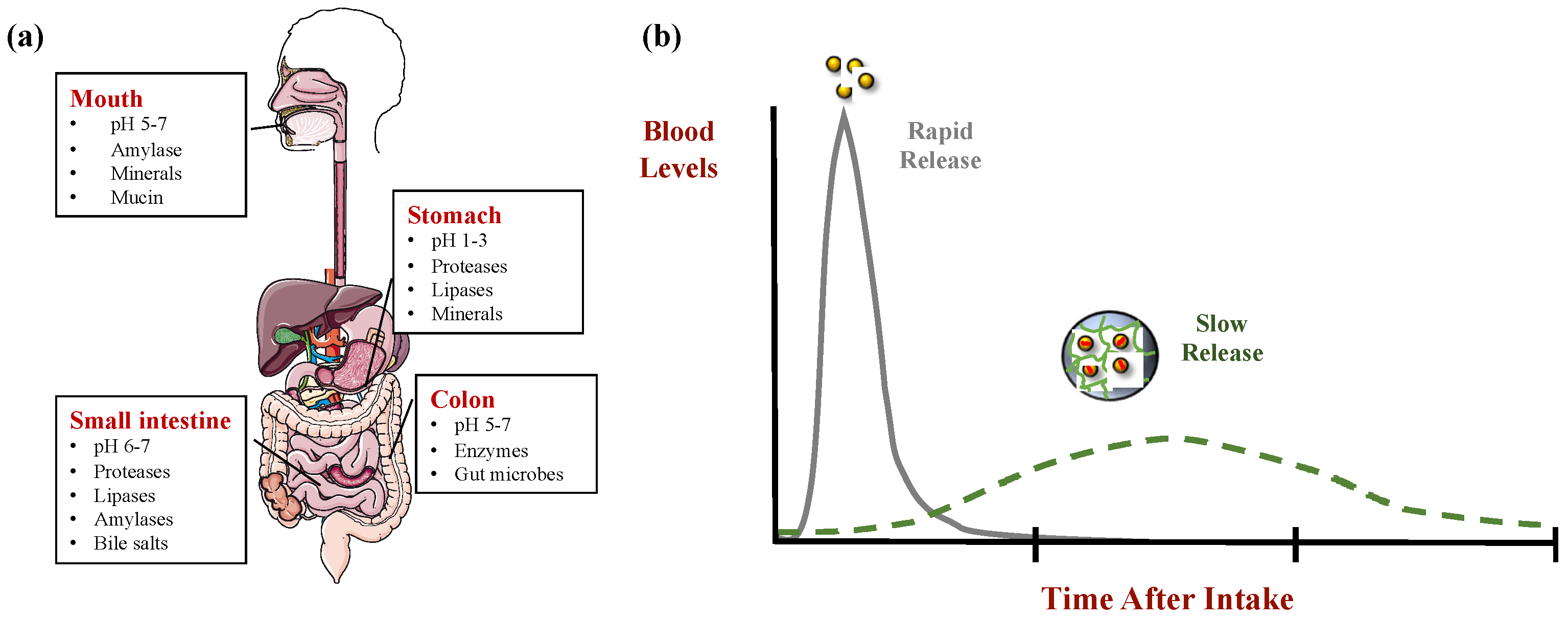 Molecules 26 06895 g003