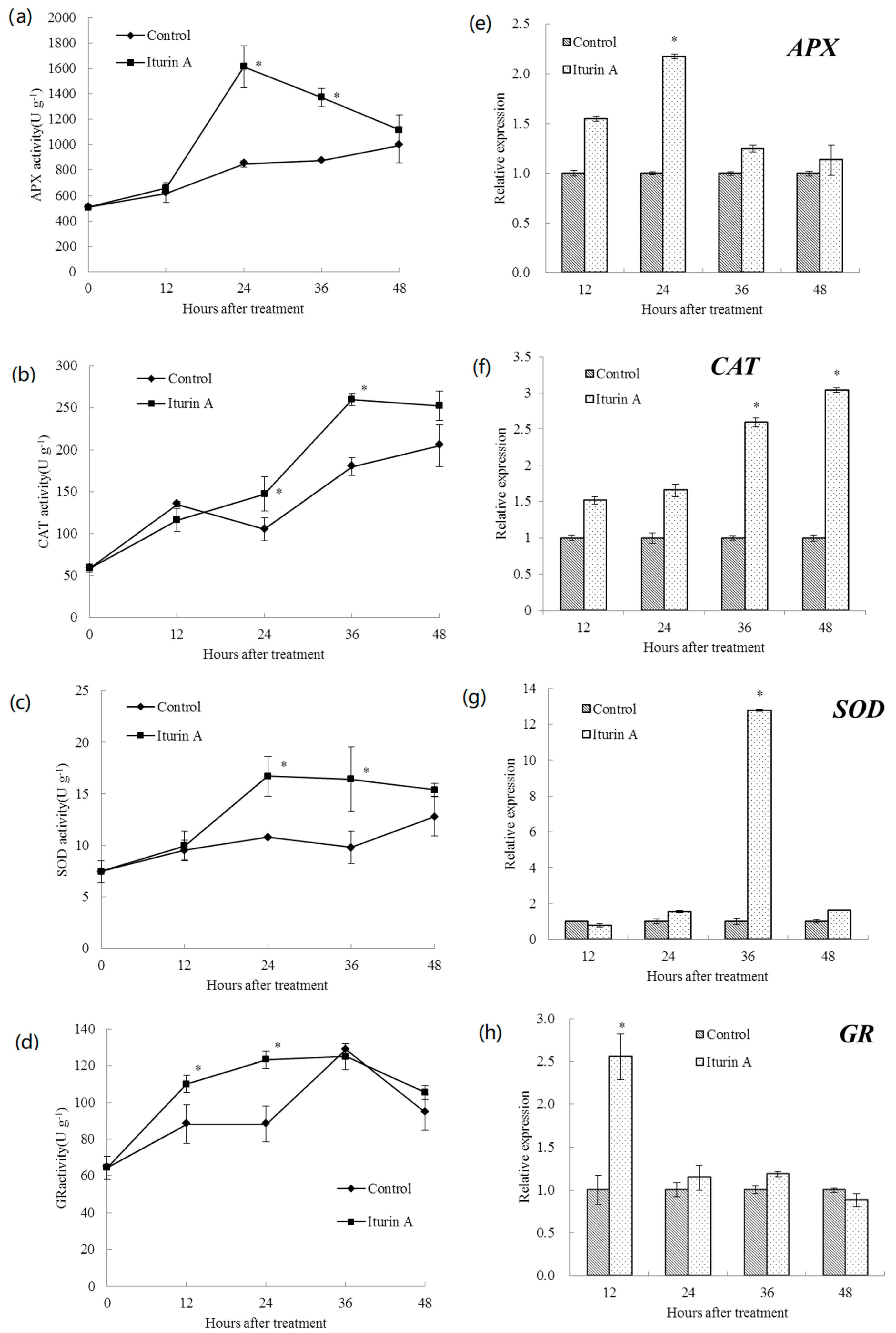 Molecules 26 06905 g004