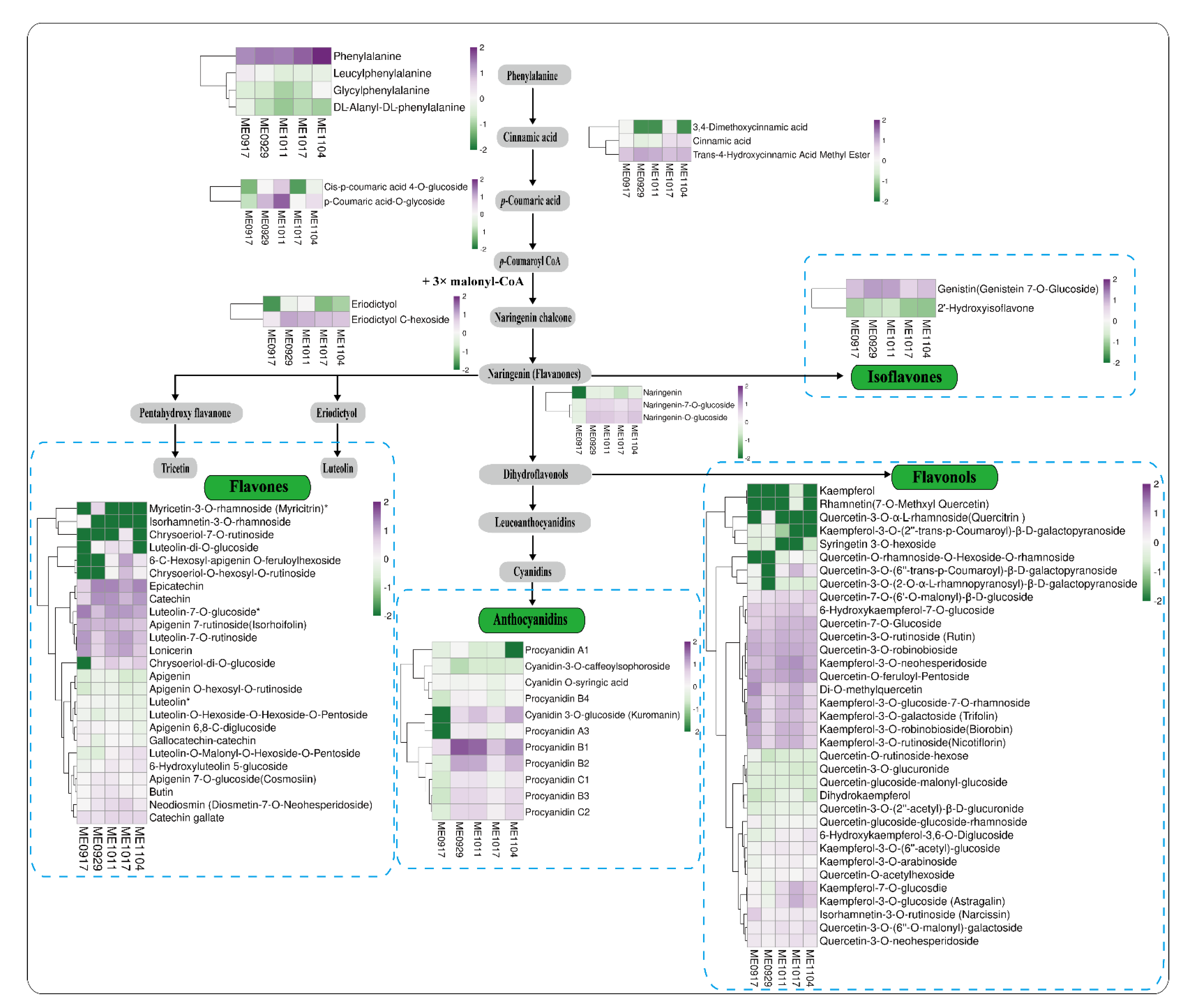 Molecules 26 06913 g006 550