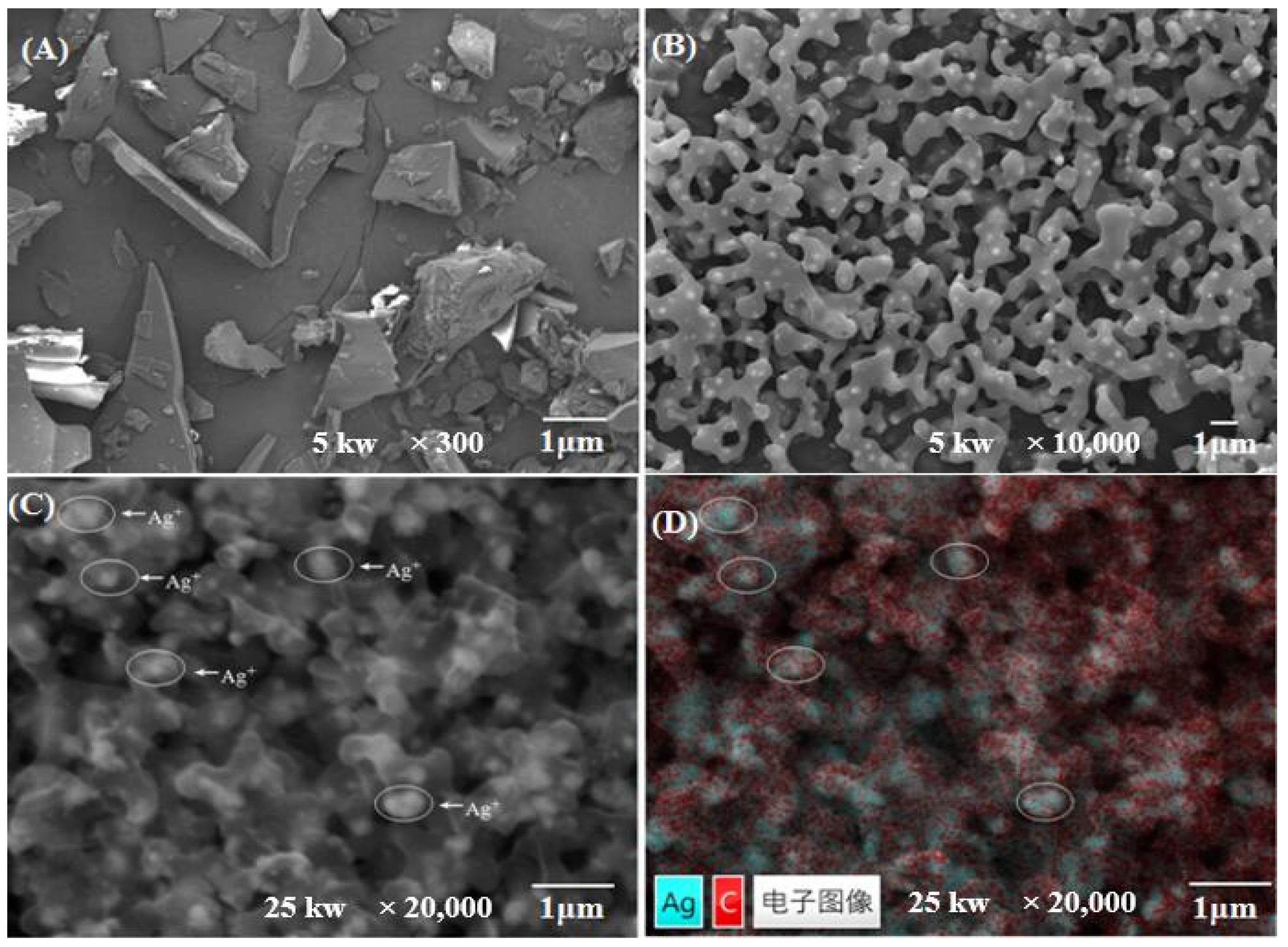 Molecules 26 06919 g004