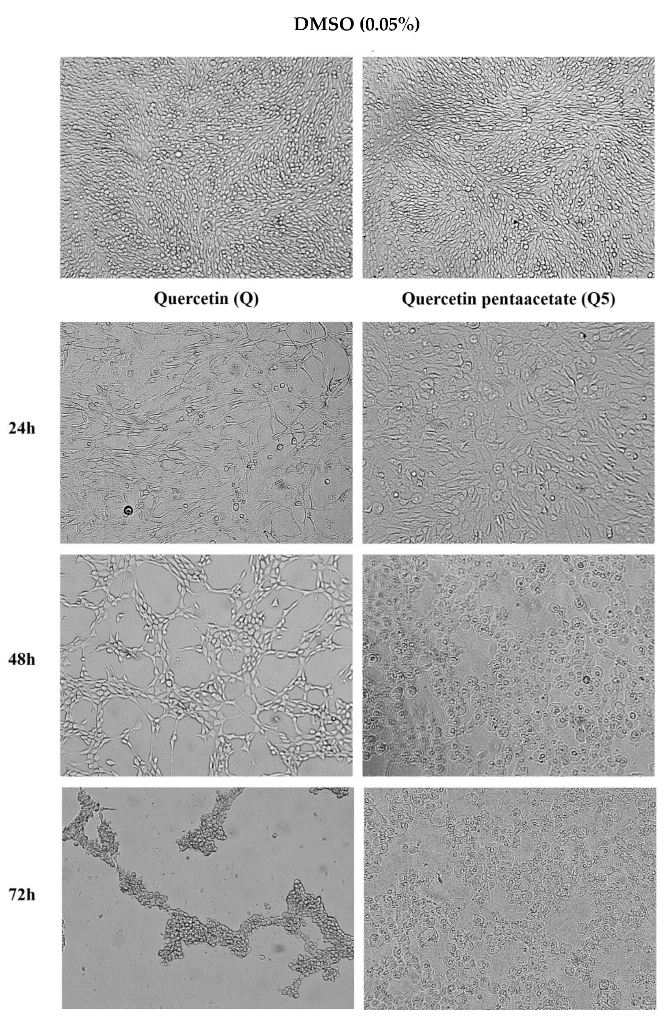 Molecules 26 06923 g005 550