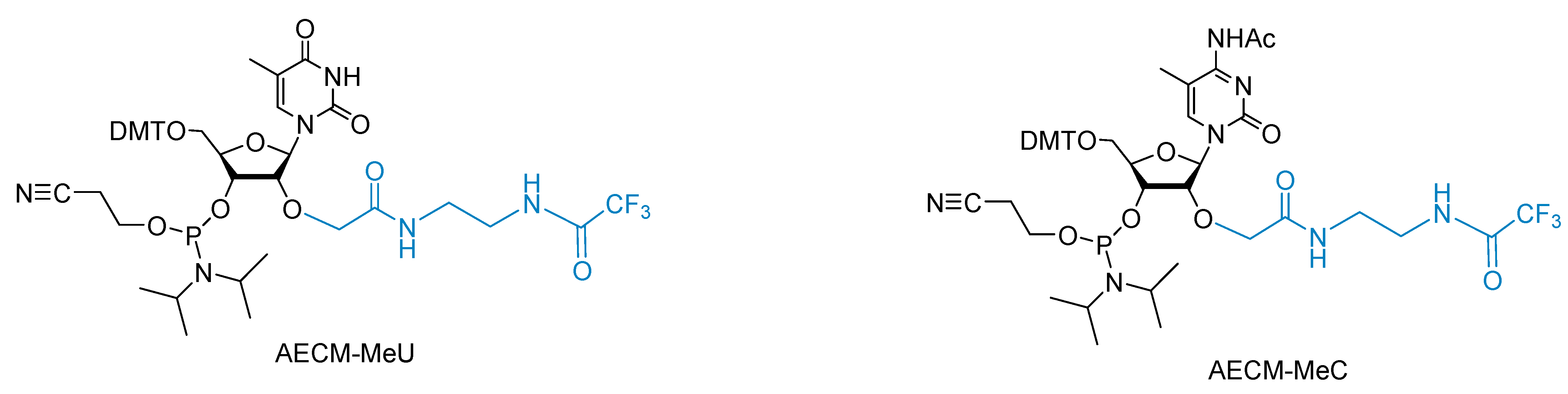 Molecules 26 06927 g001