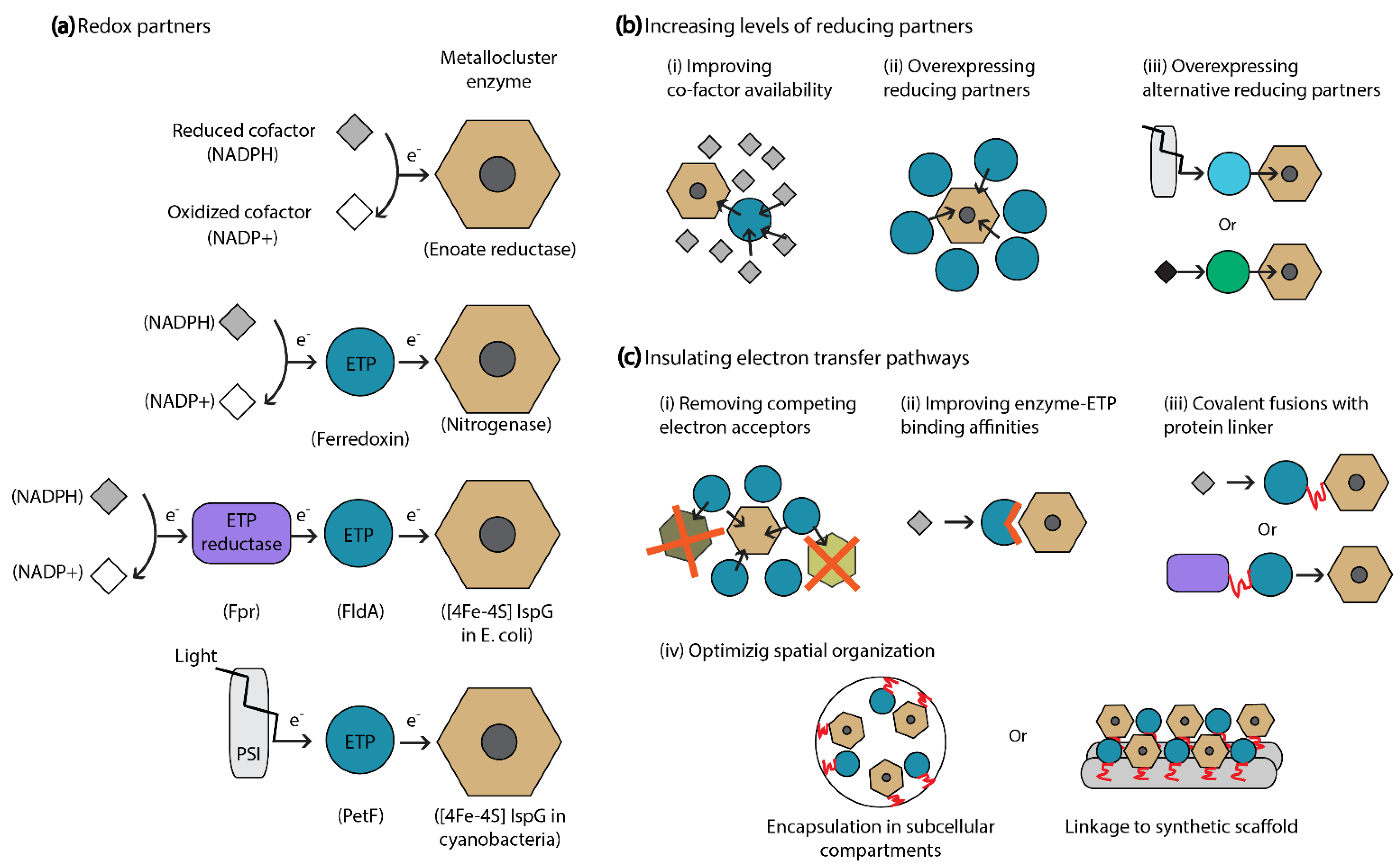 Molecules 26 06930 g003