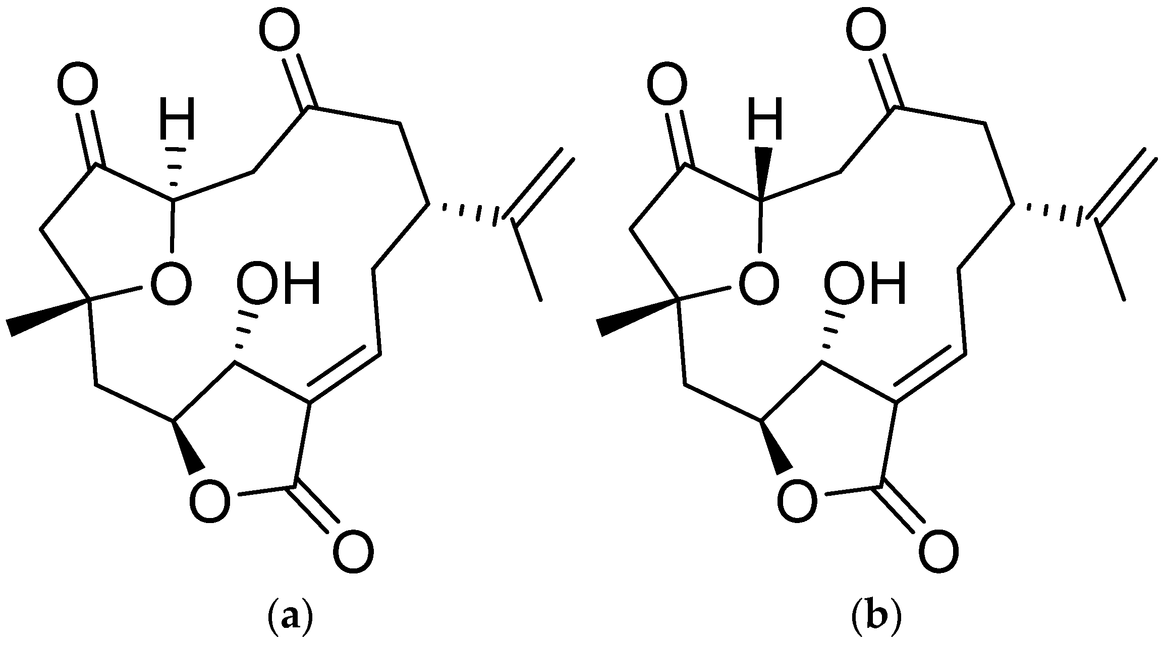 Molecules 26 06932 g001