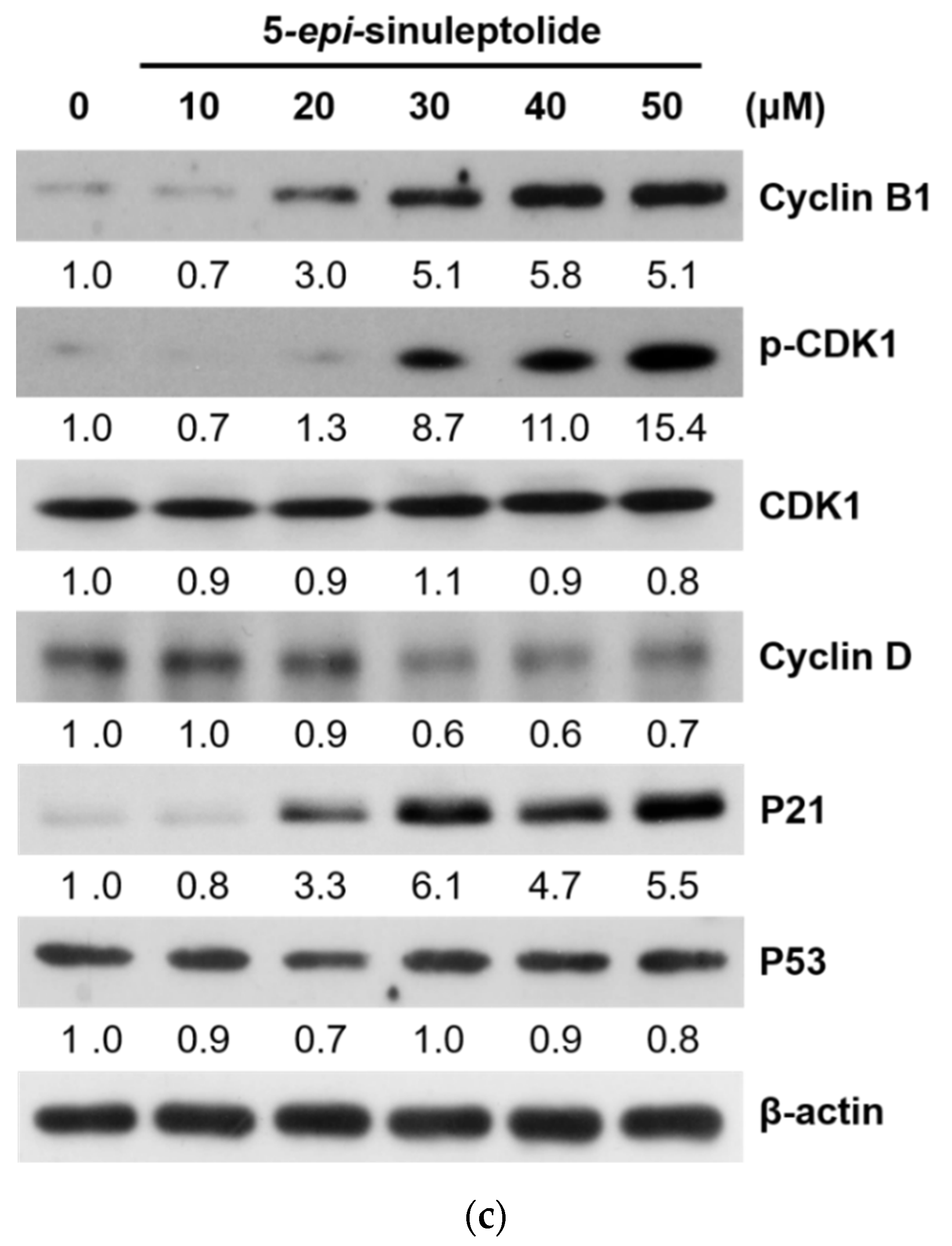 Molecules 26 06932 g004b