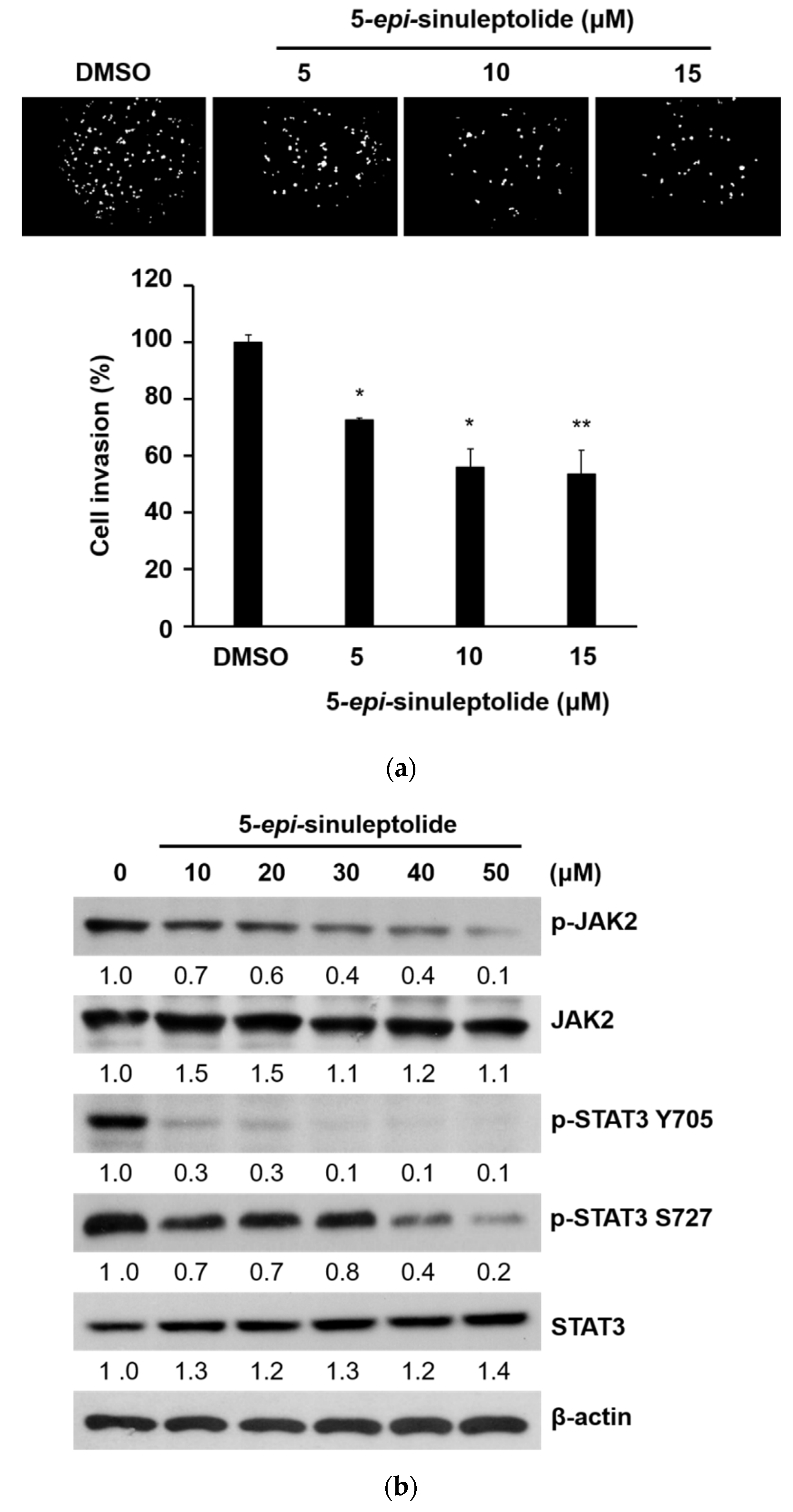 Molecules 26 06932 g005a