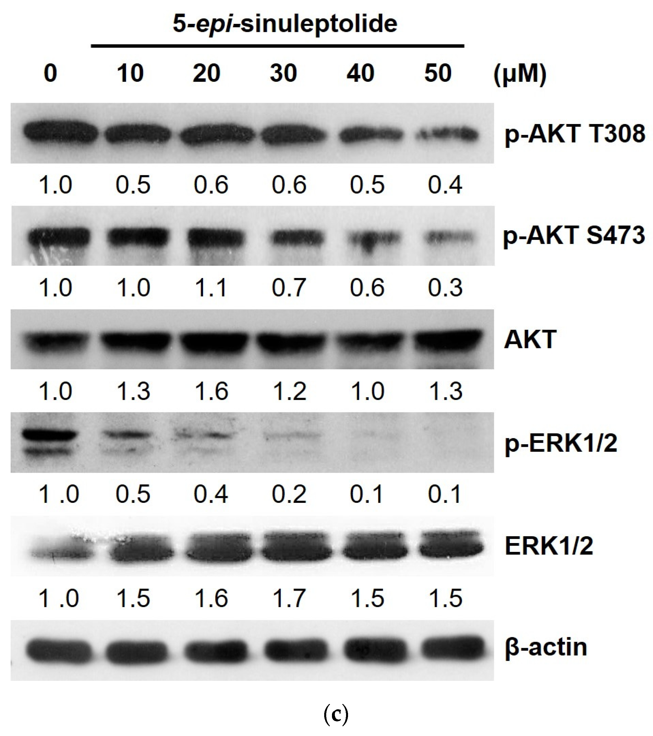 Molecules 26 06932 g005b