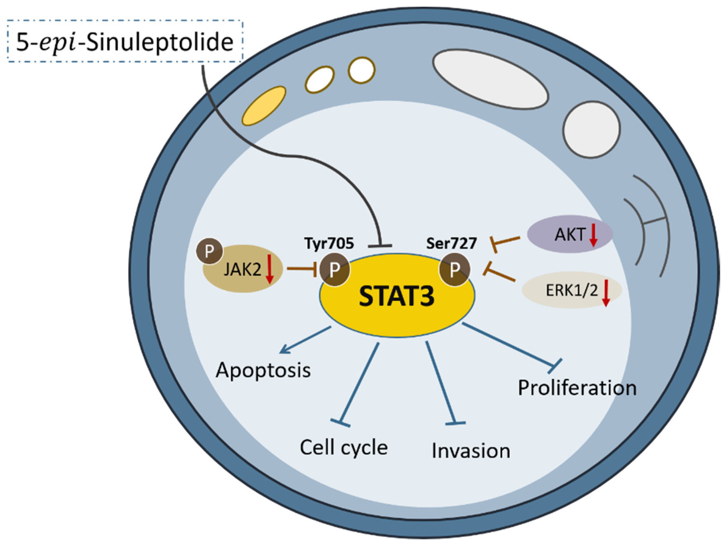 Molecules 26 06932 g006