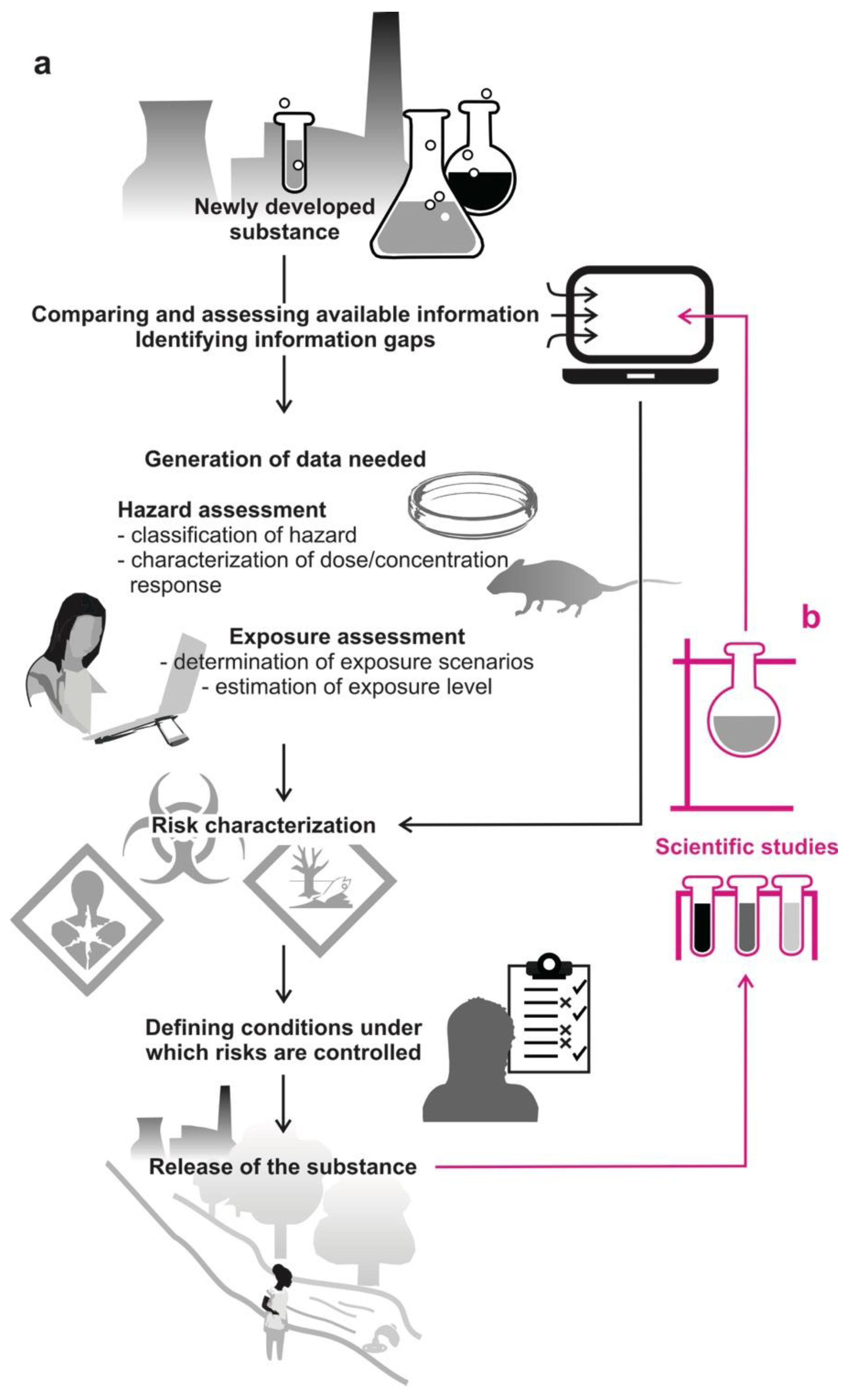 Molecules 26 06935 g001 Molecules 26 06935 g001