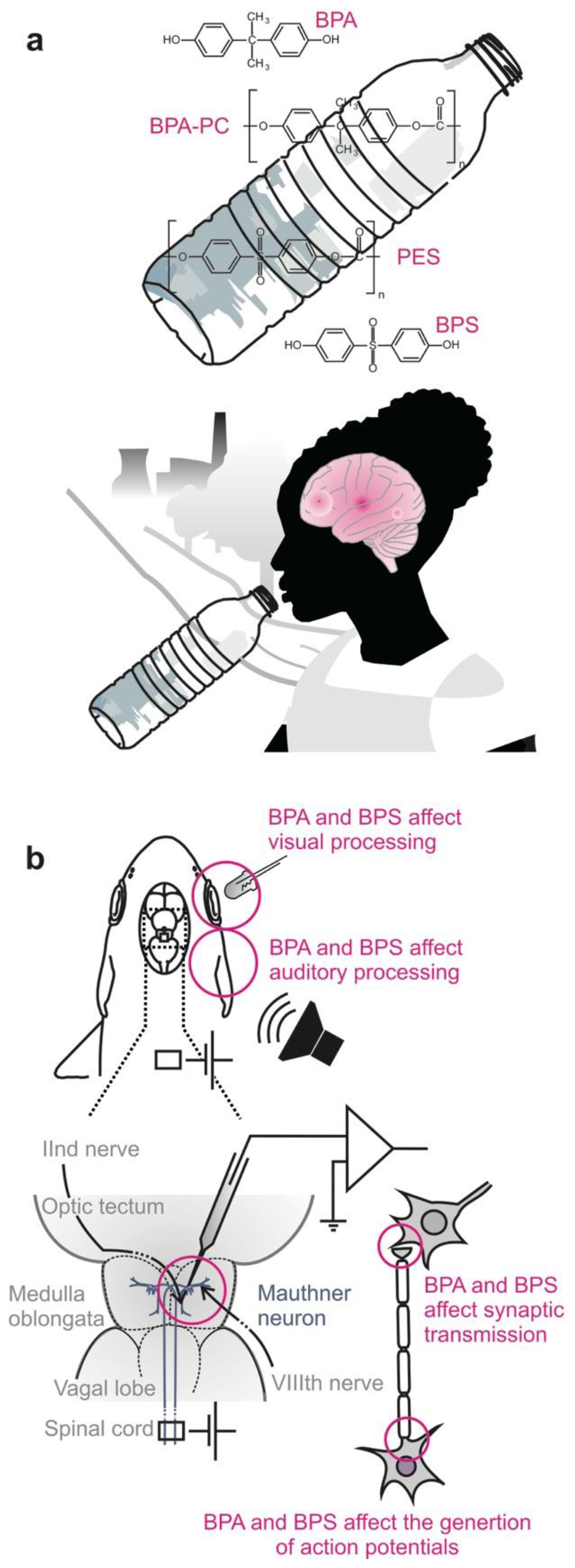 Molecules 26 06935 g002 Molecules 26 06935 g002