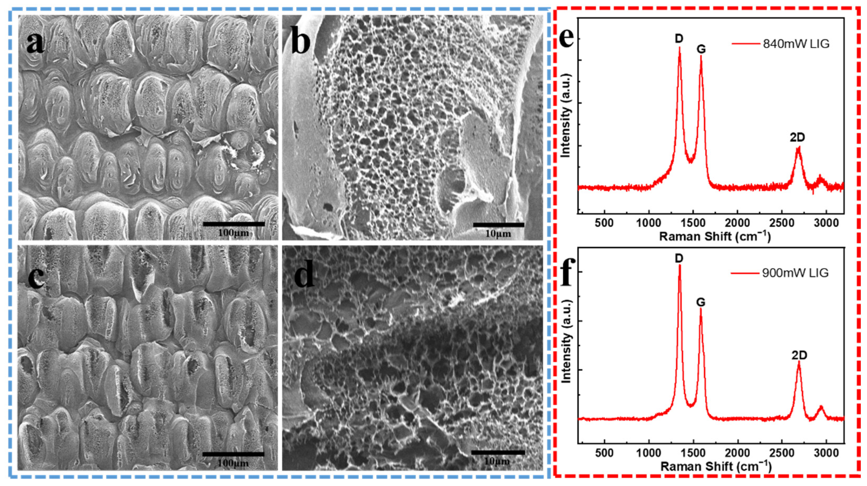 Molecules 26 06947 g003