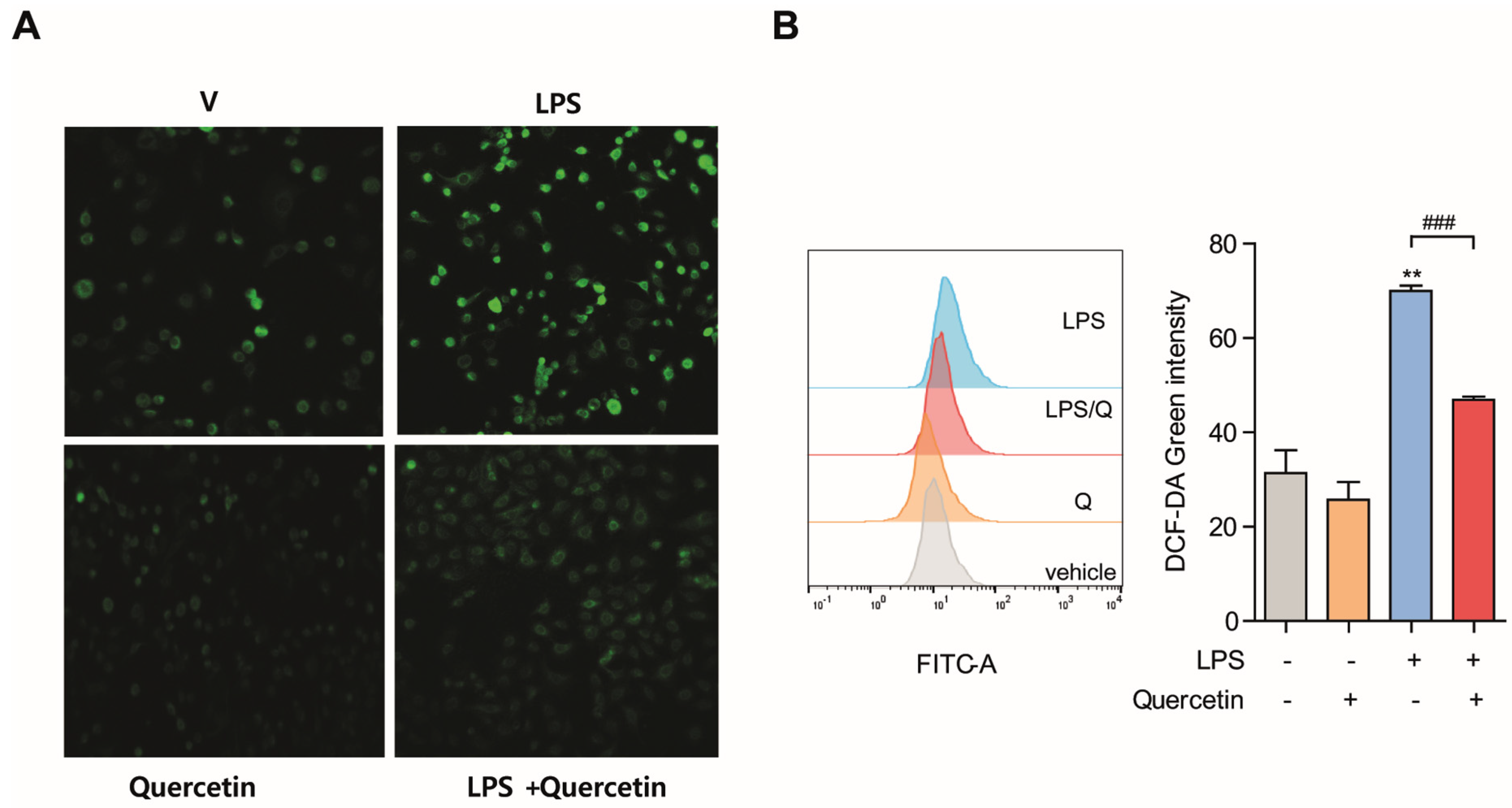 Molecules 26 06949 g002 550