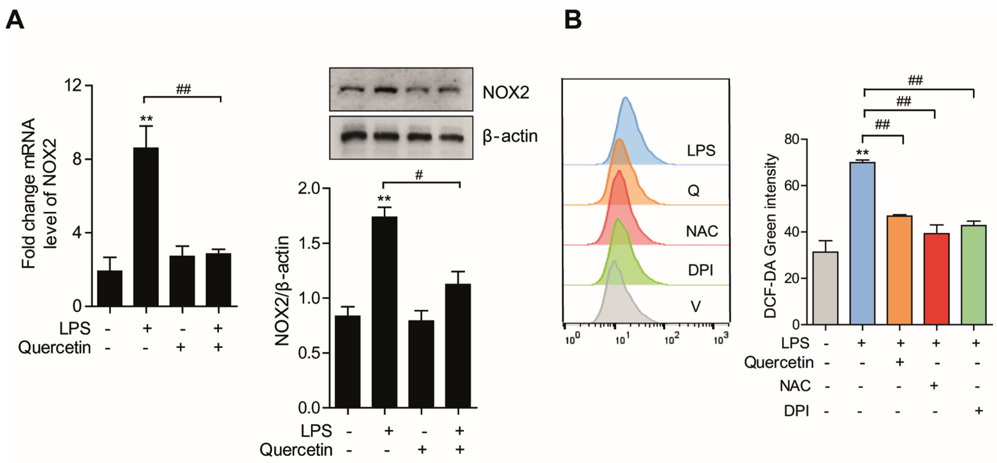 Molecules 26 06949 g003 550